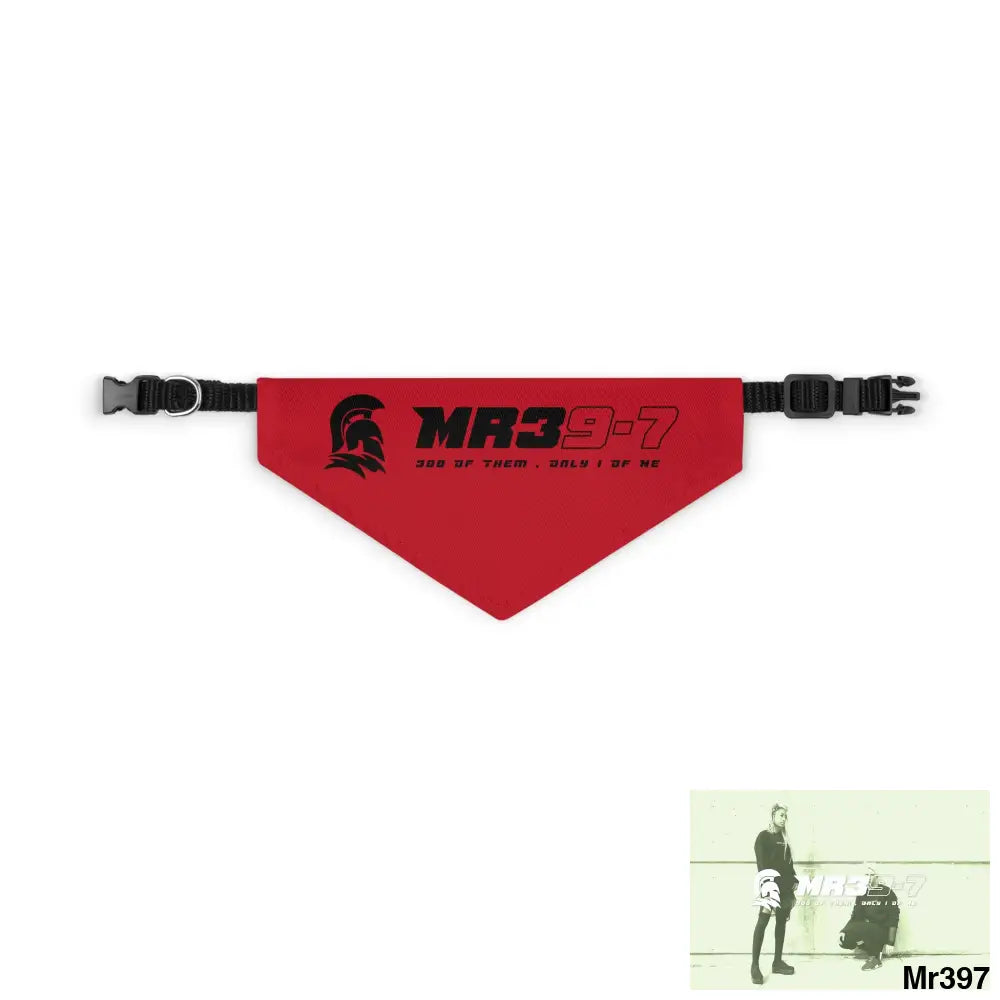 MR39 Pet Bandana Collar S Pets