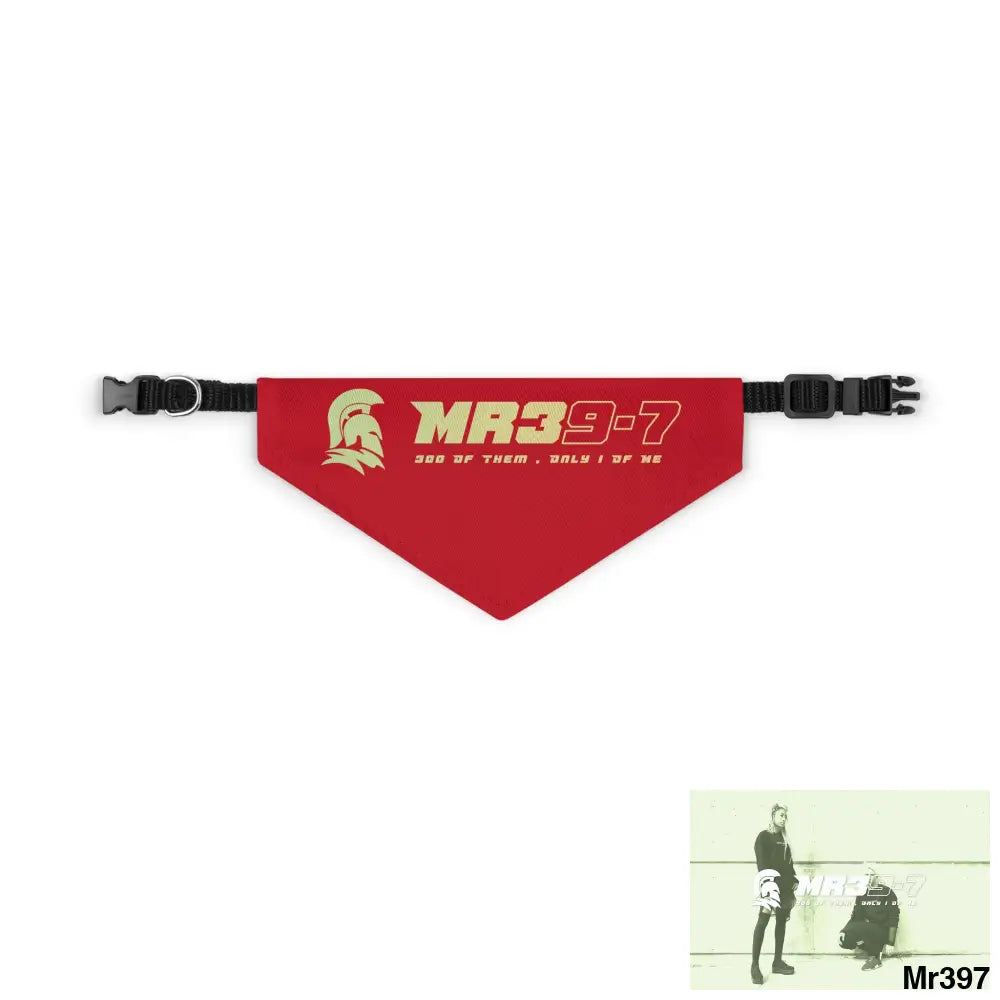 MR39 Pet Bandana Collar S Pets