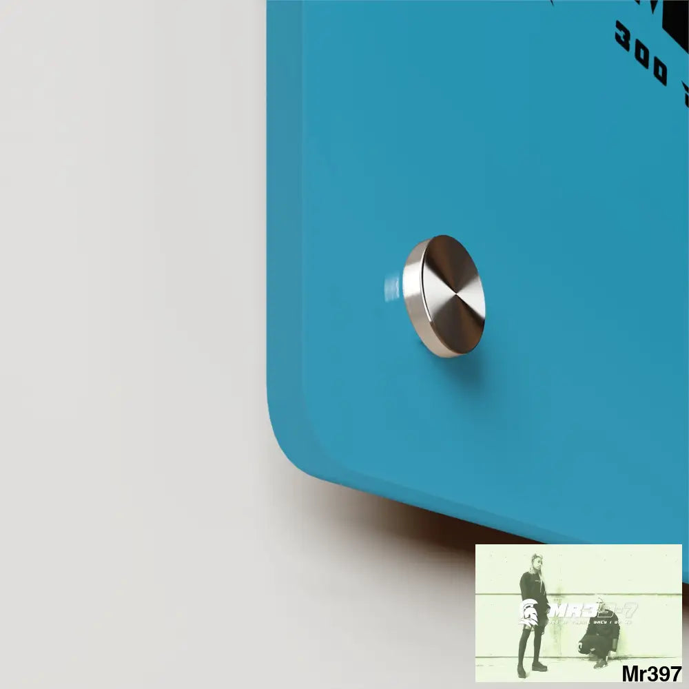 MR39 -Sparta Acrylic Wall Art Panels Home Decor