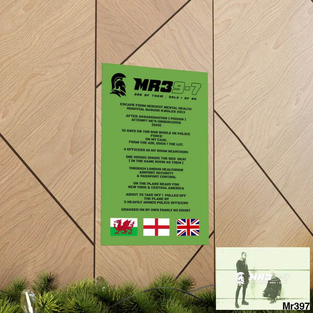 MR39’s Escape from Hergest MH Hospital 2013 Matte Vertical Posters Poster