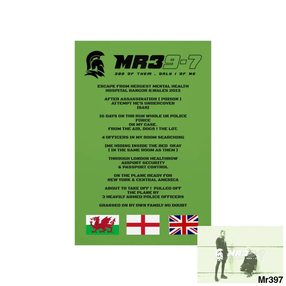 MR39’s Escape from Hergest MH Hospital 2013 Matte Vertical Posters Poster