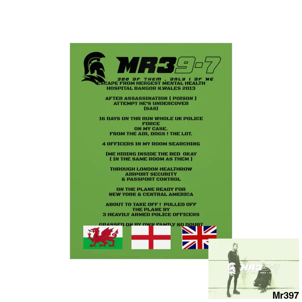 MR39’s Escape from Hergest MH Hospital 2013 Matte Vertical Posters Poster