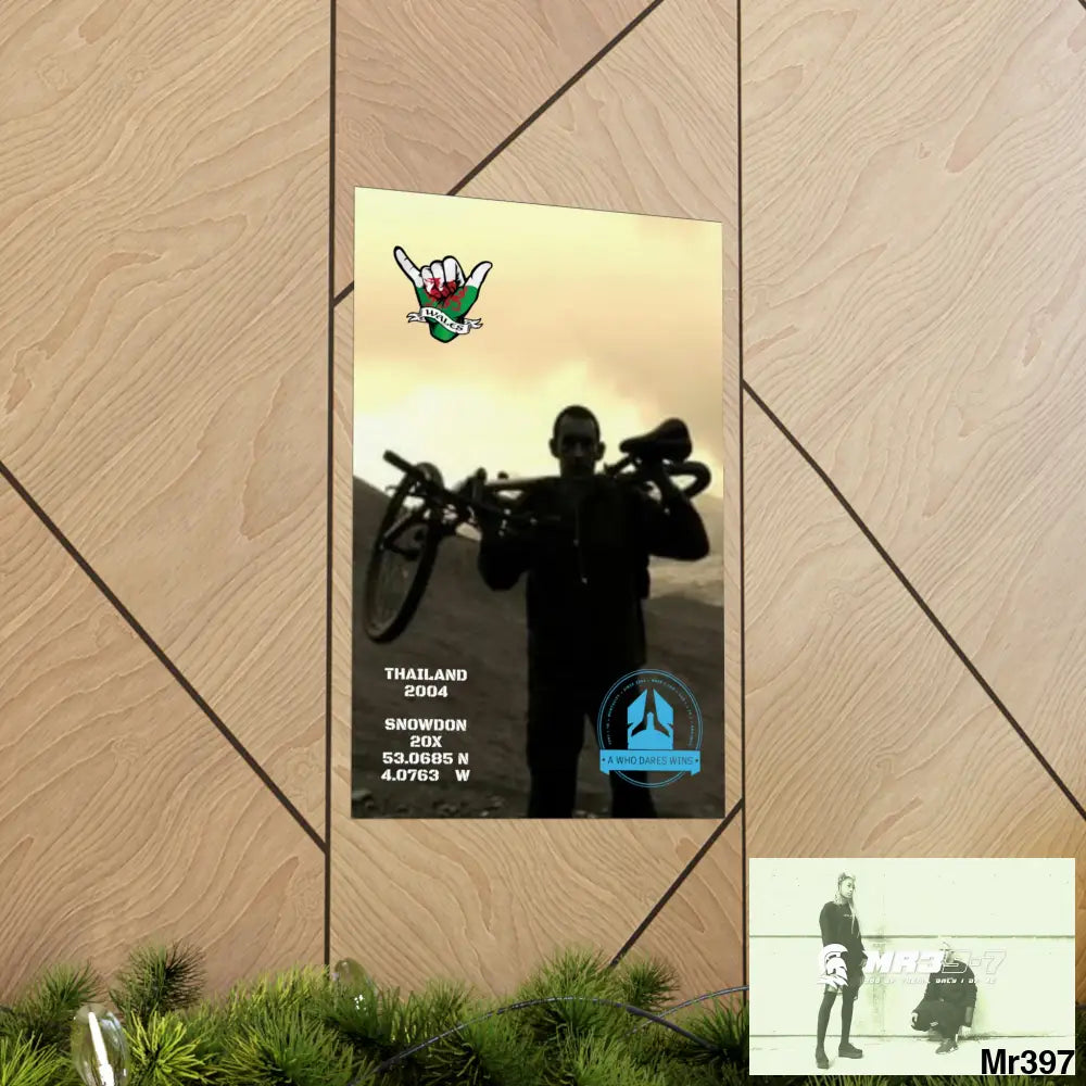 My birthday Beating not 20X Snowdon Matte Vertical Posters Poster