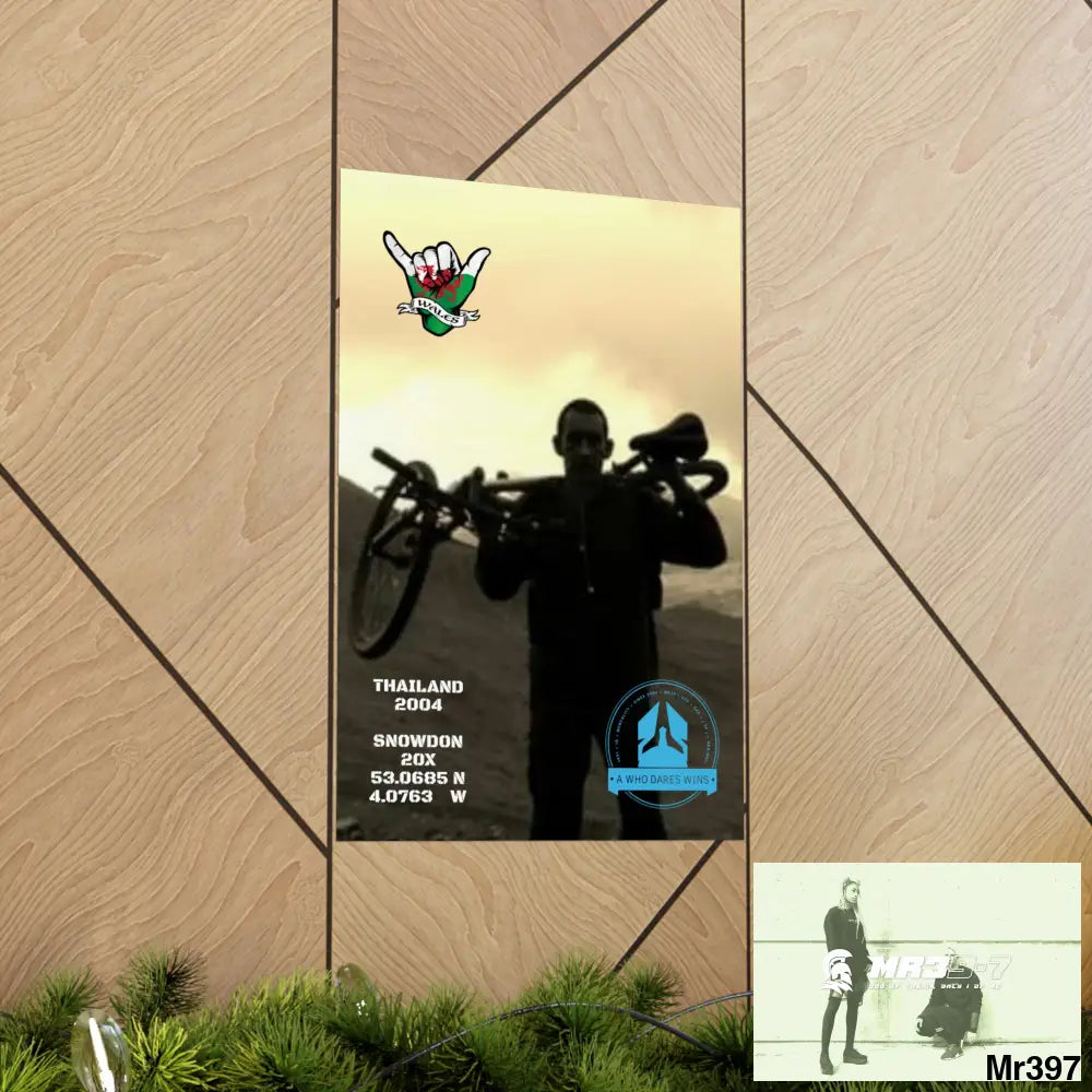 My birthday Beating not 20X Snowdon Matte Vertical Posters Poster