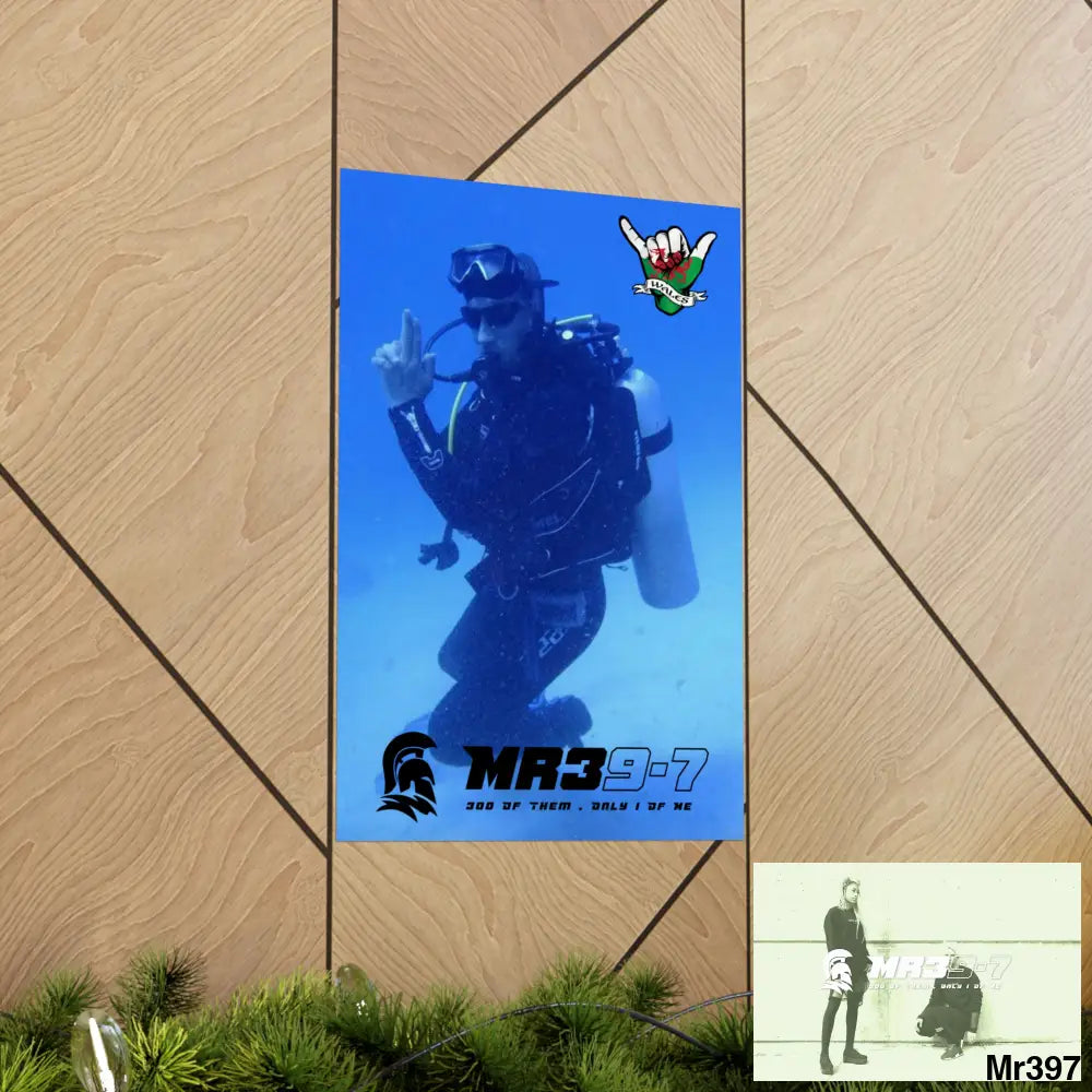 Scuba Me39-7 Dahab Egypt Snowdon Matte Vertical Posters Poster