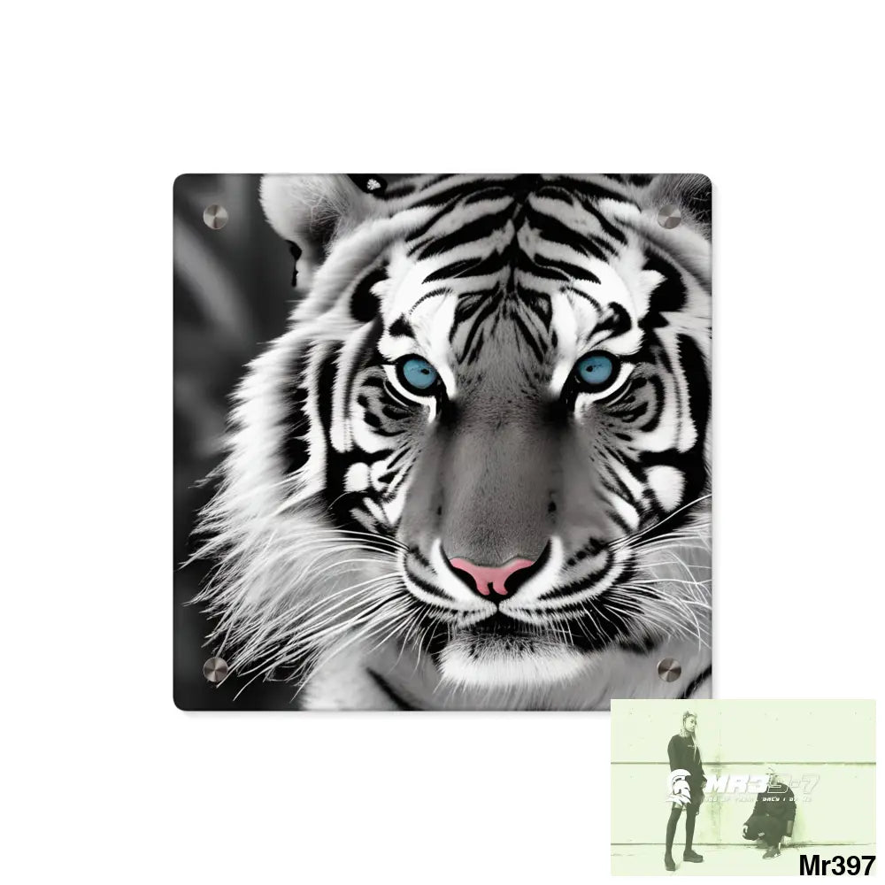 Tiger Graphic Acrylic Wall Art Panels 11’’ x 11’’ (Square) / 0.25’’ Home Decor