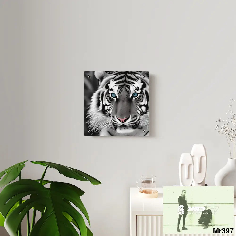Tiger Graphic Acrylic Wall Art Panels Home Decor