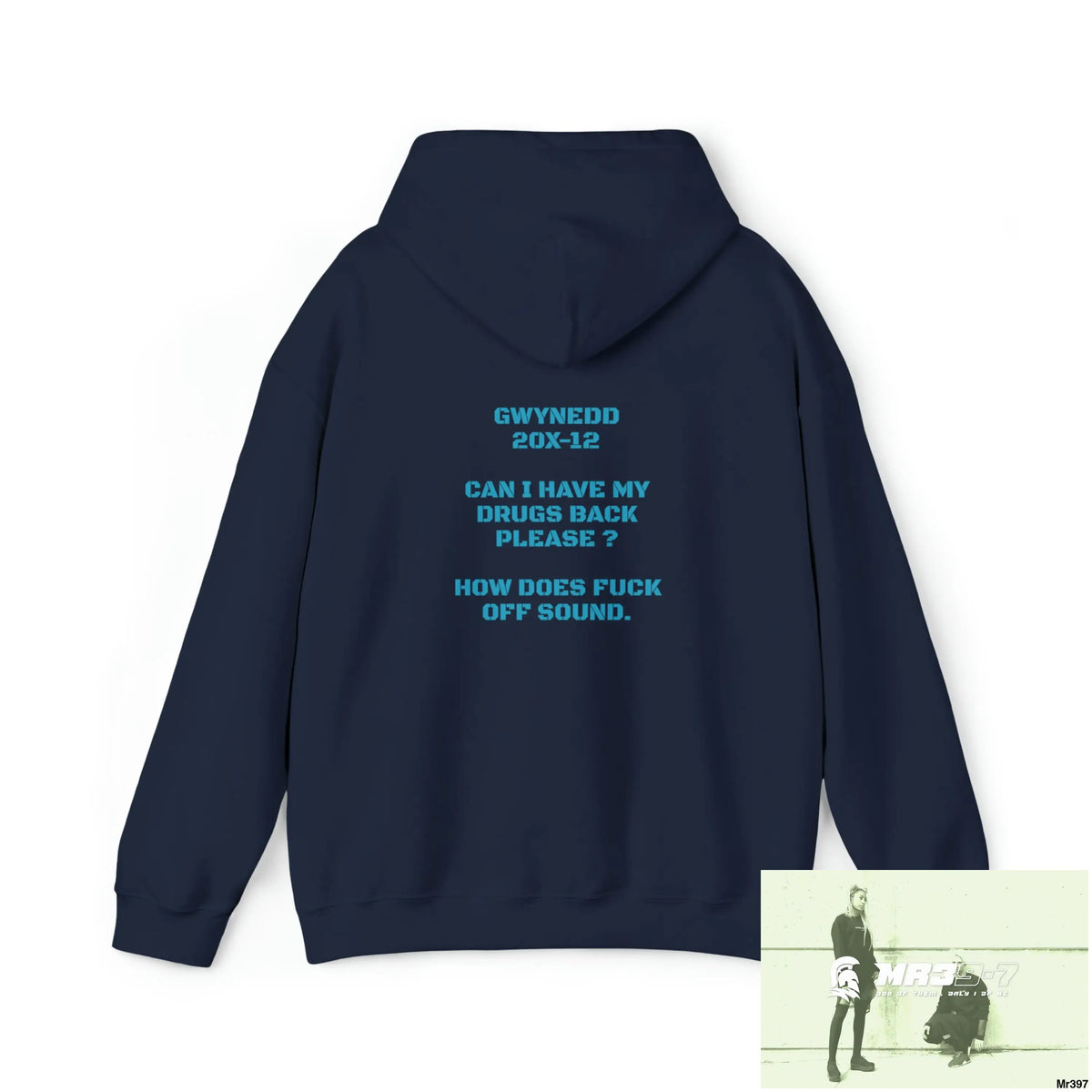 Unisex A1 4 A Reason Gwynedd 20X -12 Can I have drugs back please ? + FK off Heavy Blend™ Hooded Sweatshirt Hoodie
