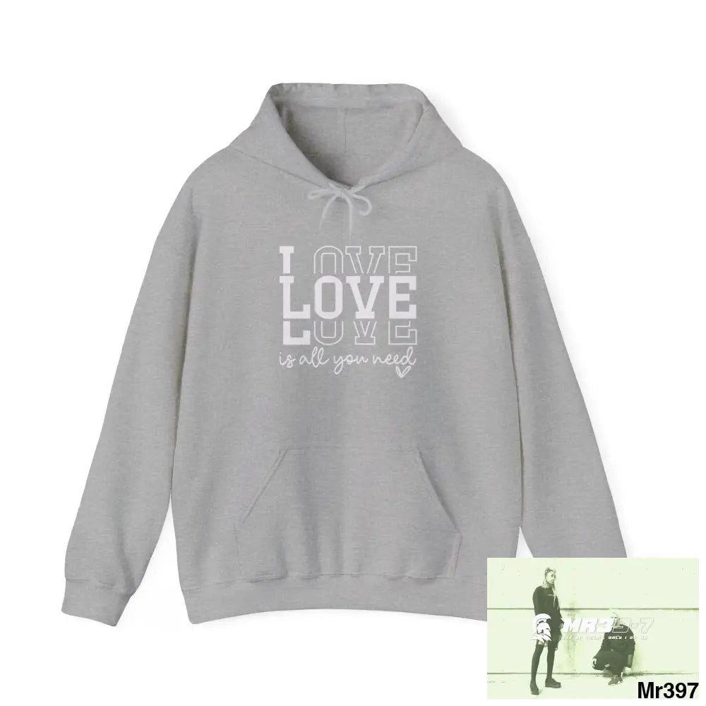Unisex Love is all you need Heavy Blend™ Hooded Sweatshirt Sport Grey / M Hoodie
