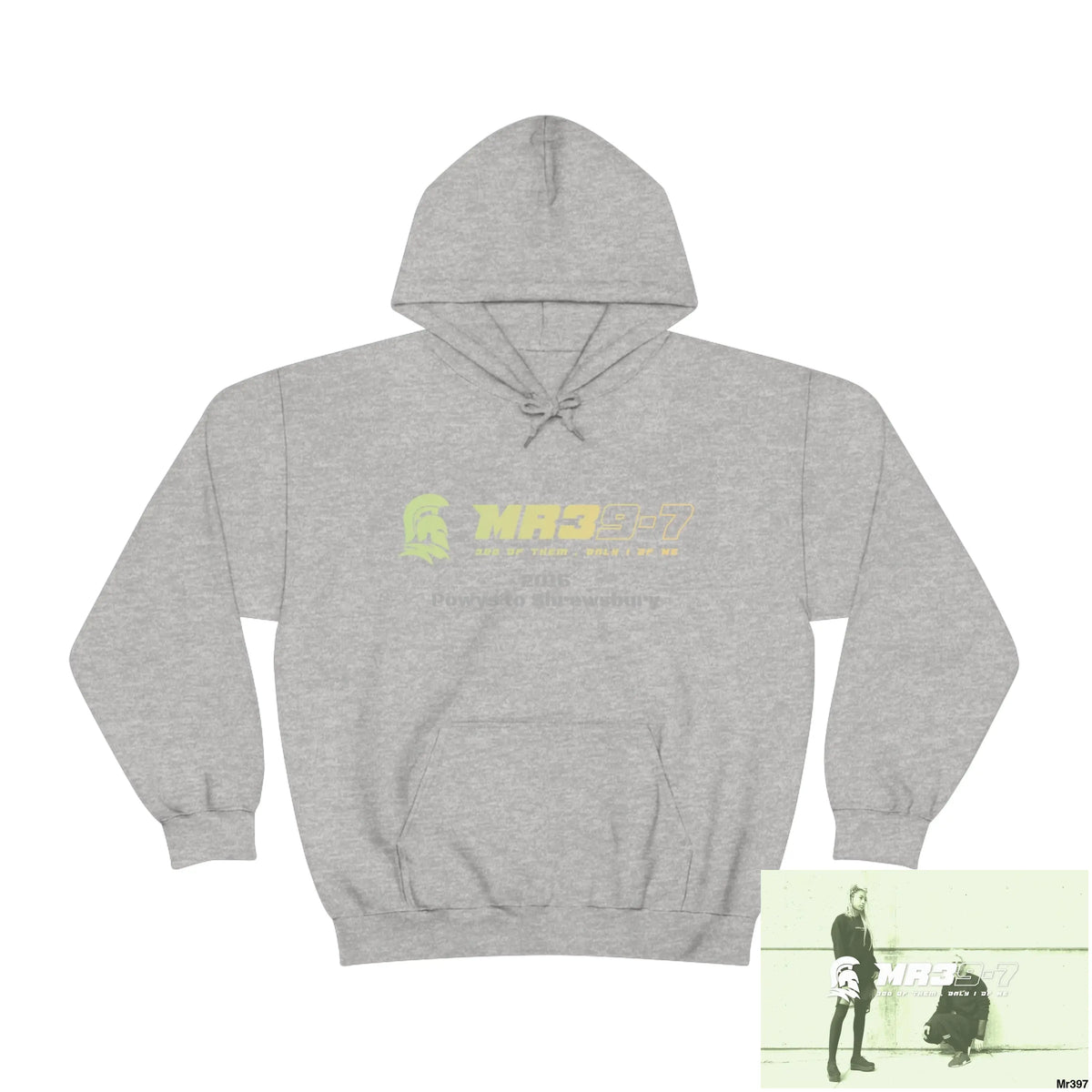 Unisex Shrewsbury in,2016 Heavy Blend™ Hooded Sweatshirt Hoodie