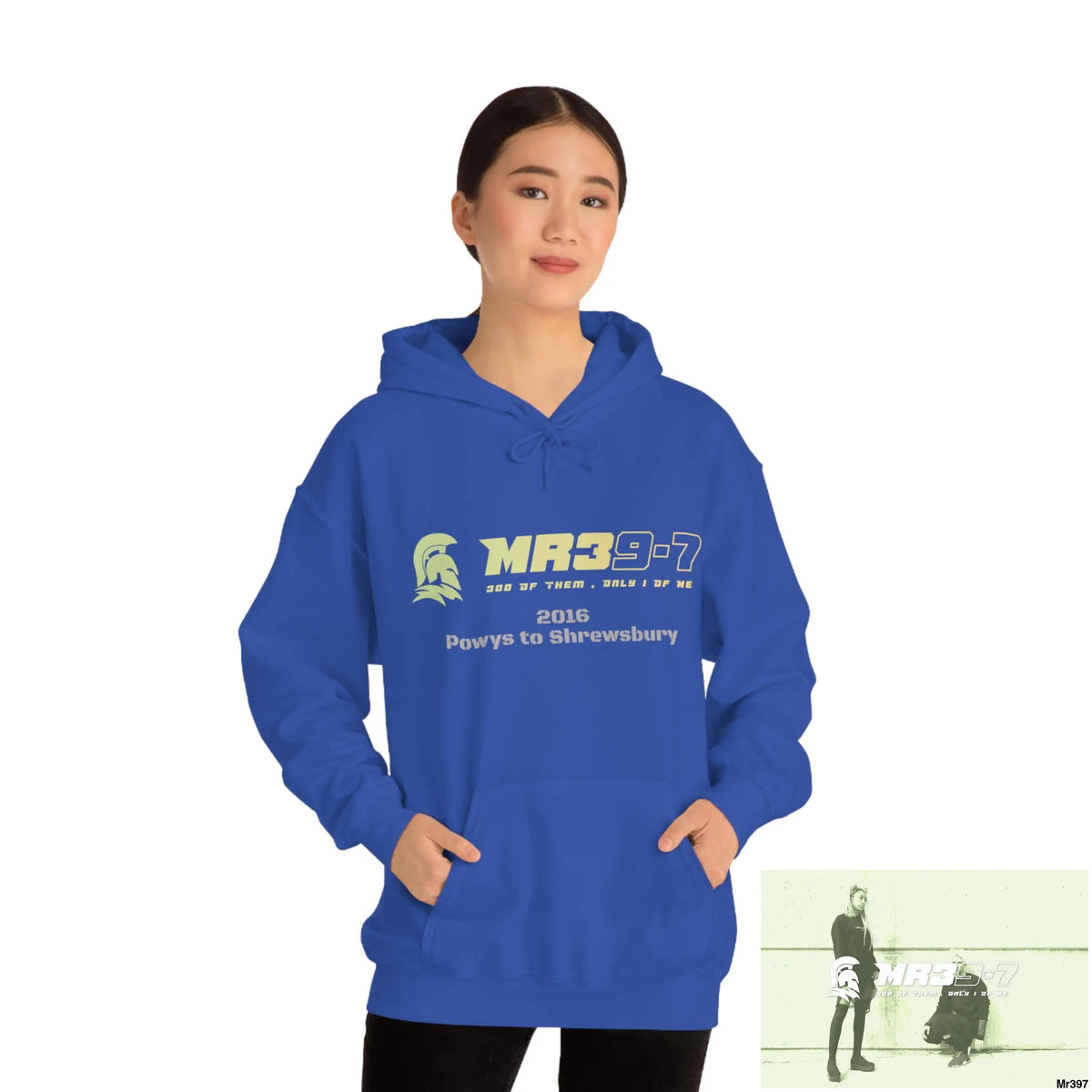 Unisex Shrewsbury in,2016 Heavy Blend™ Hooded Sweatshirt Hoodie