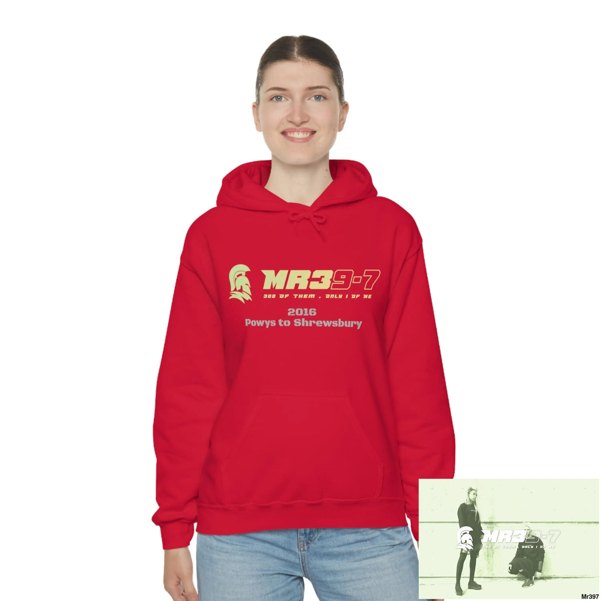 Unisex Shrewsbury in,2016 Heavy Blend™ Hooded Sweatshirt Hoodie
