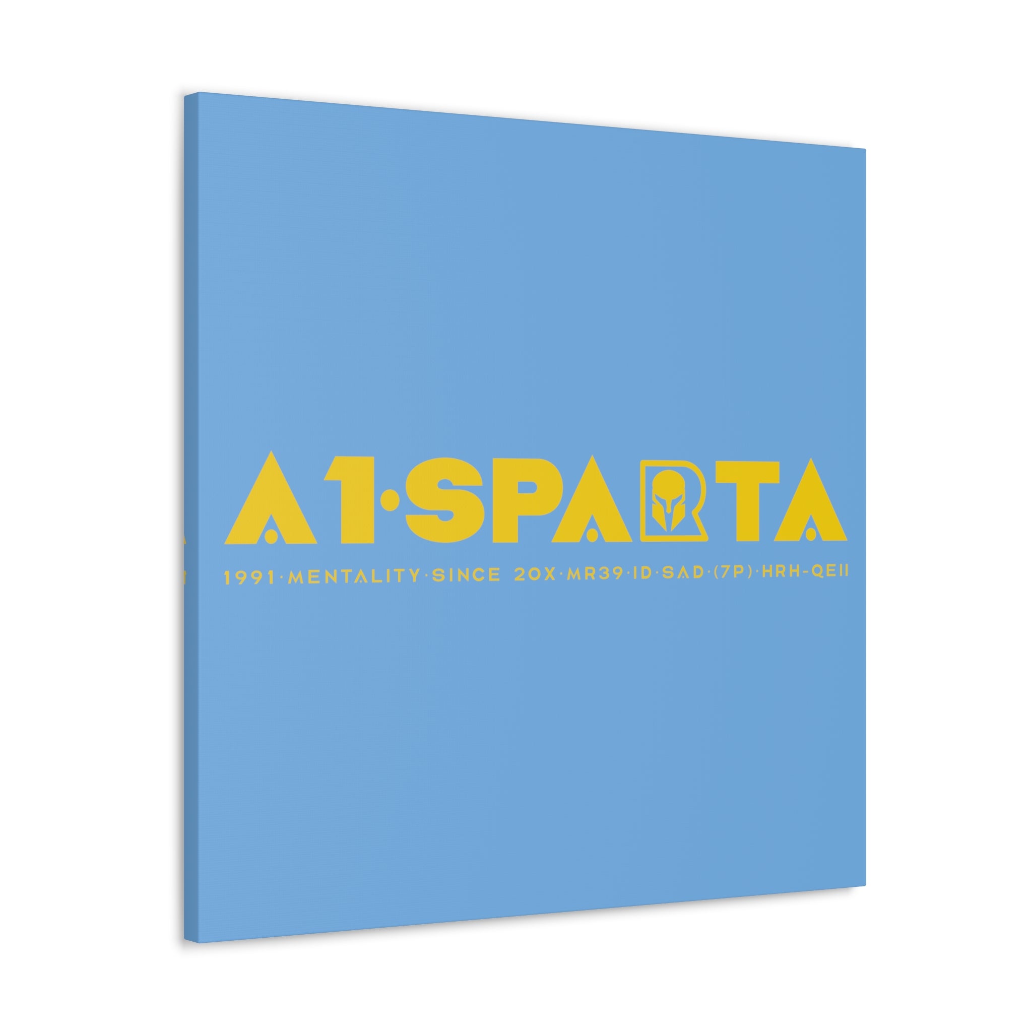 Canvas Gallery Wraps (A1•SPARTA RANGE)