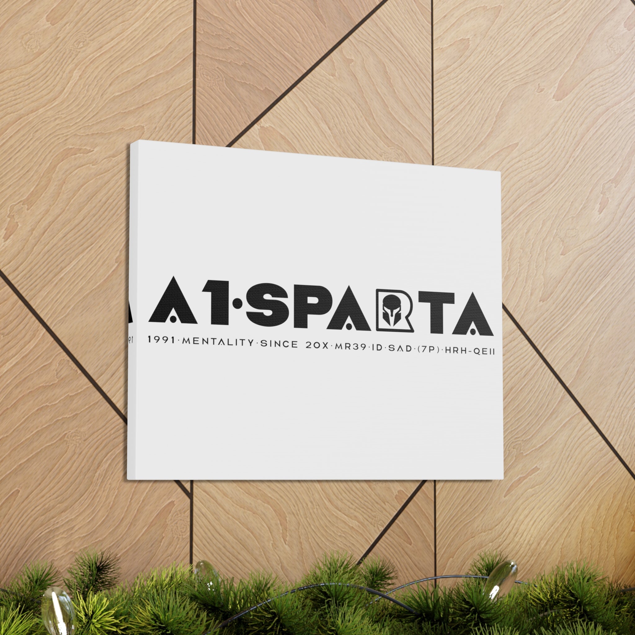 Canvas Gallery Wraps (A1•SPARTA RANGE)