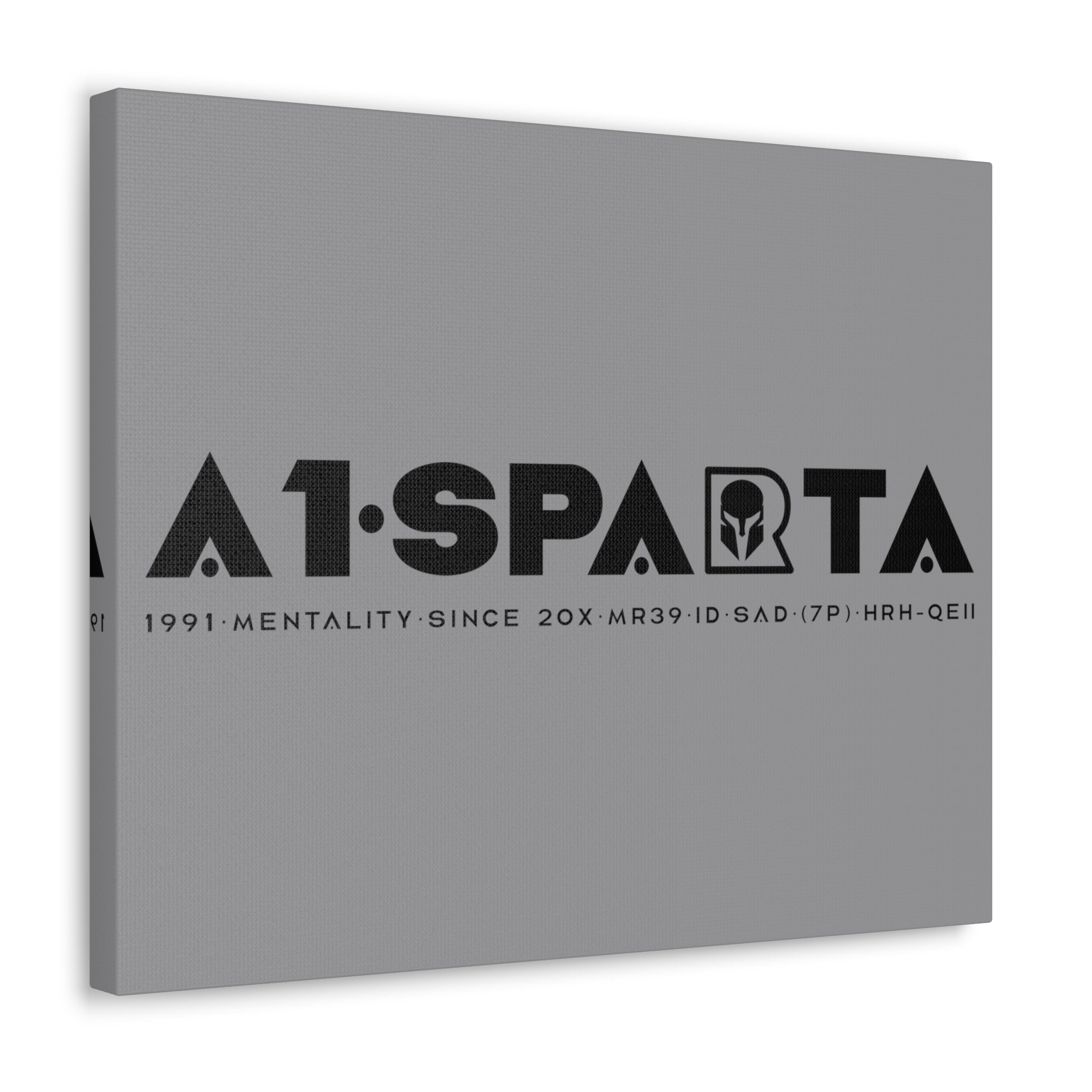 Canvas Gallery Wraps (A1•SPARTA RANGE)