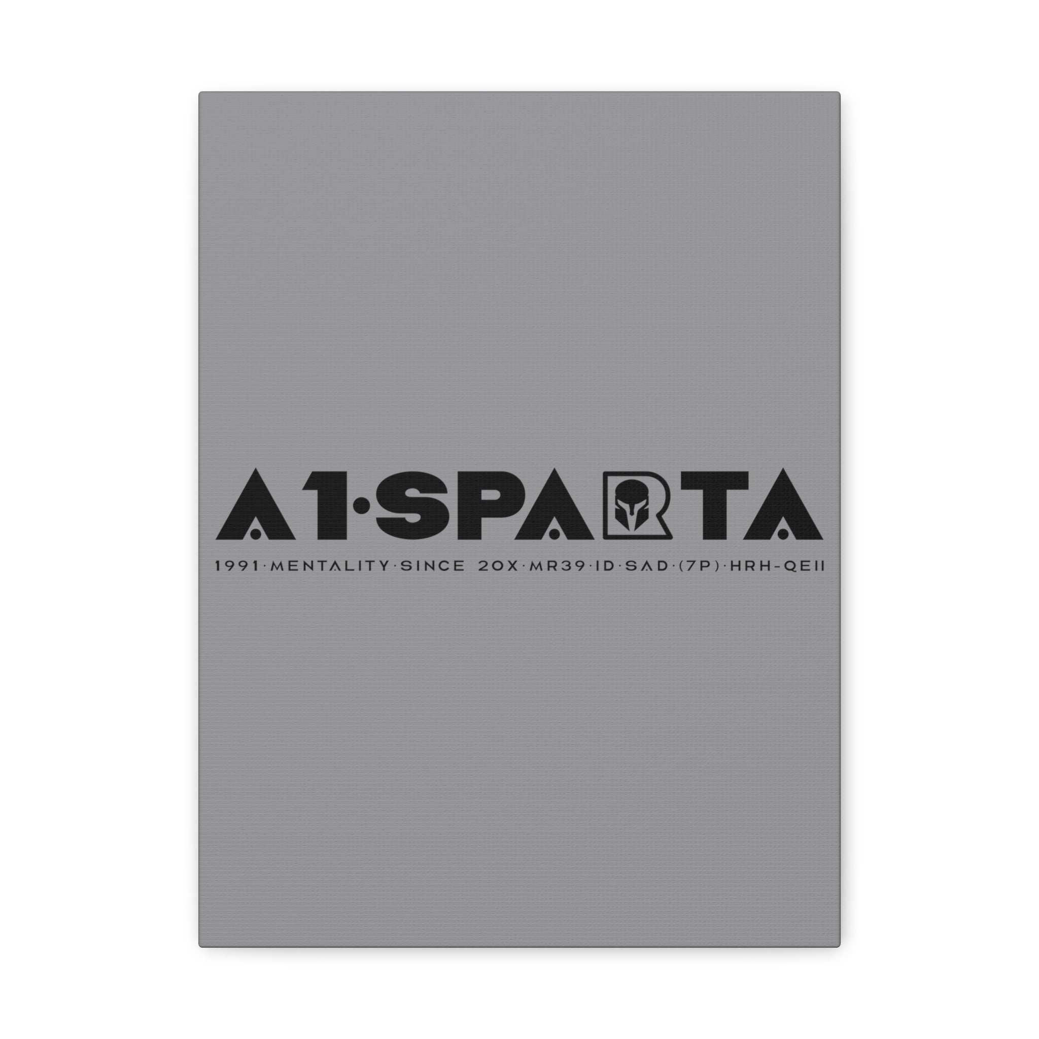 Canvas Gallery Wraps (A1•SPARTA RANGE)