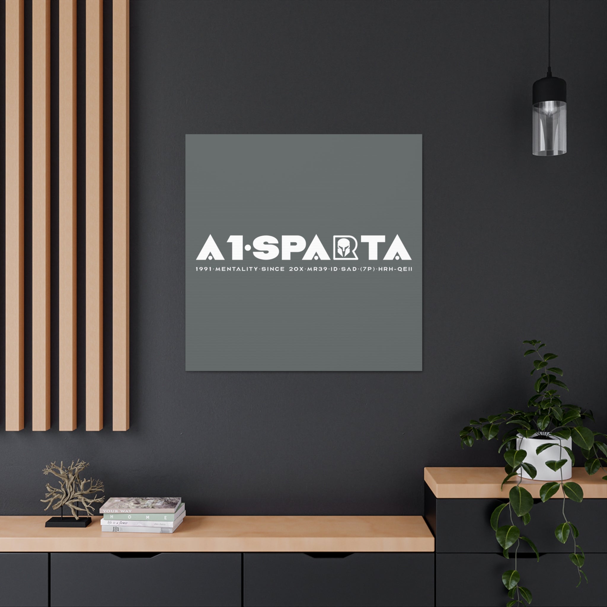 Canvas Gallery Wraps (A1•SPARTA RANGE)