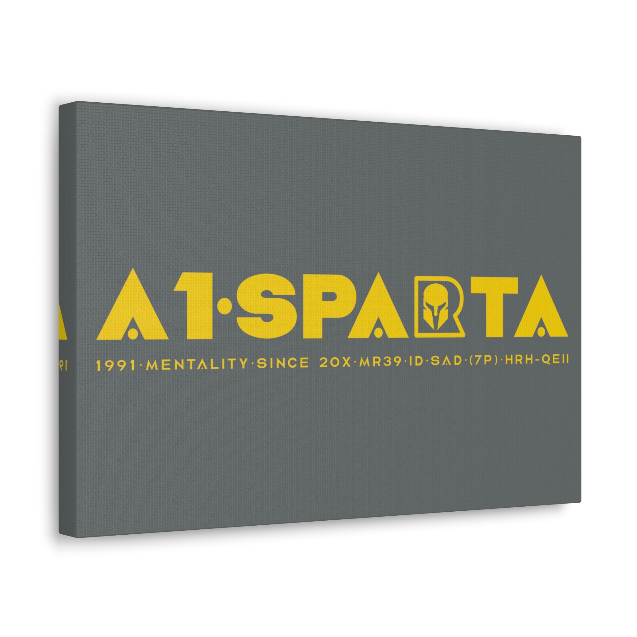 Canvas Gallery Wraps (A1•SPARTA RANGE)