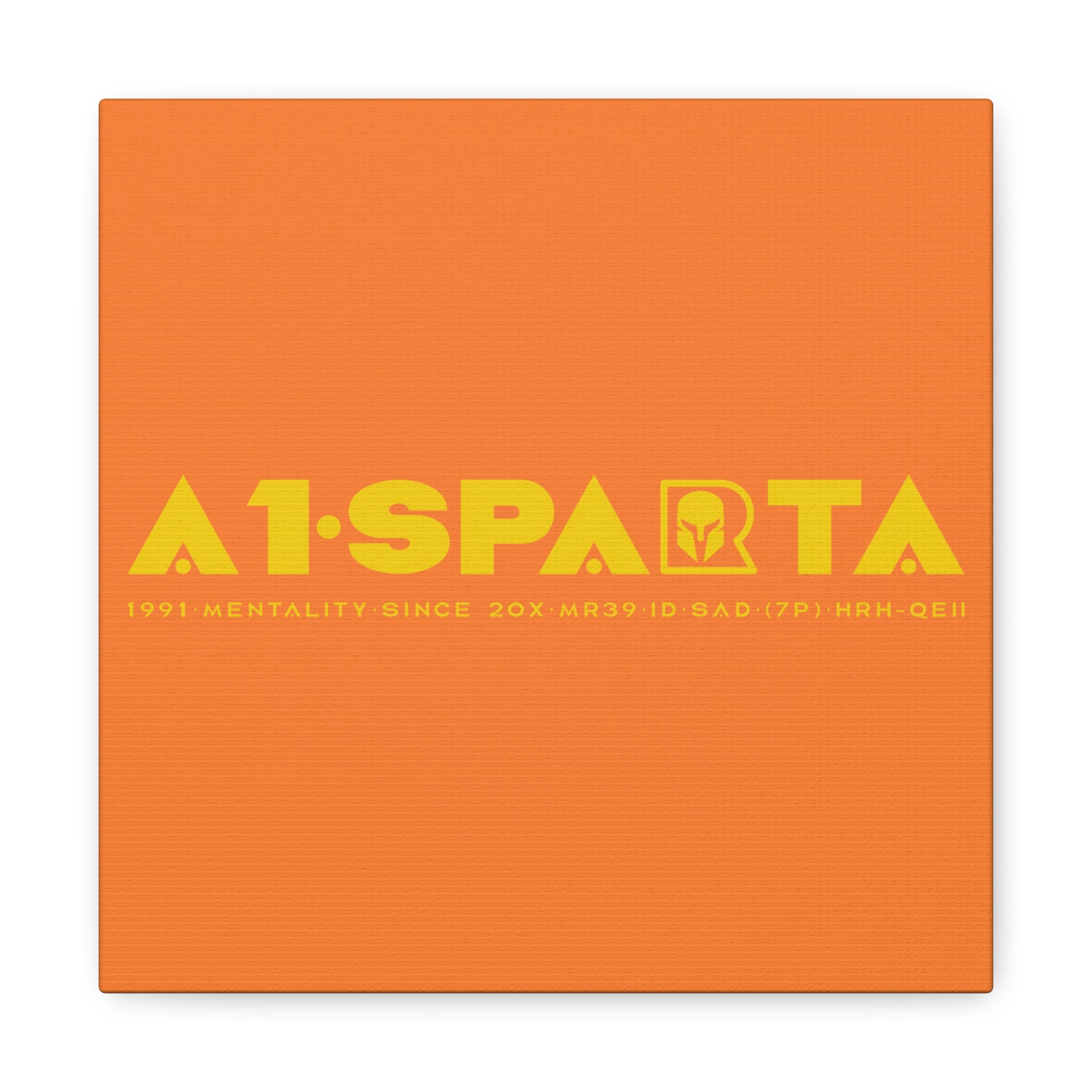 Canvas Gallery Wraps (A1•SPARTA RANGE)