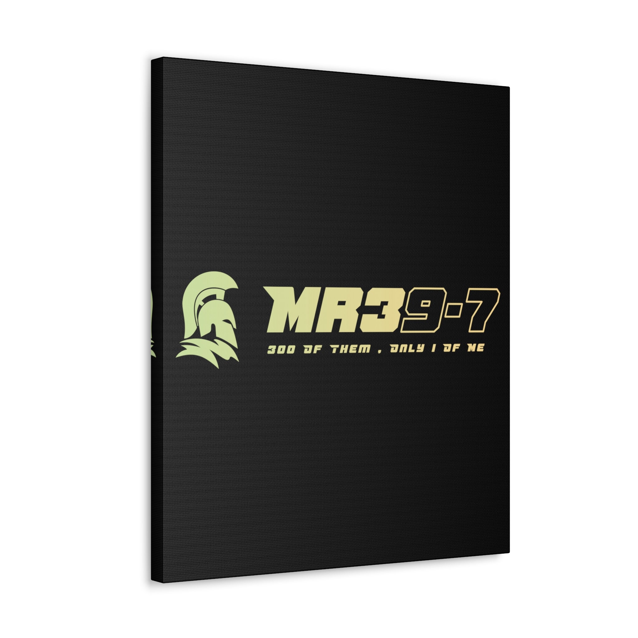 Canvas Gallery Wraps (A1•SPARTA RANGE)