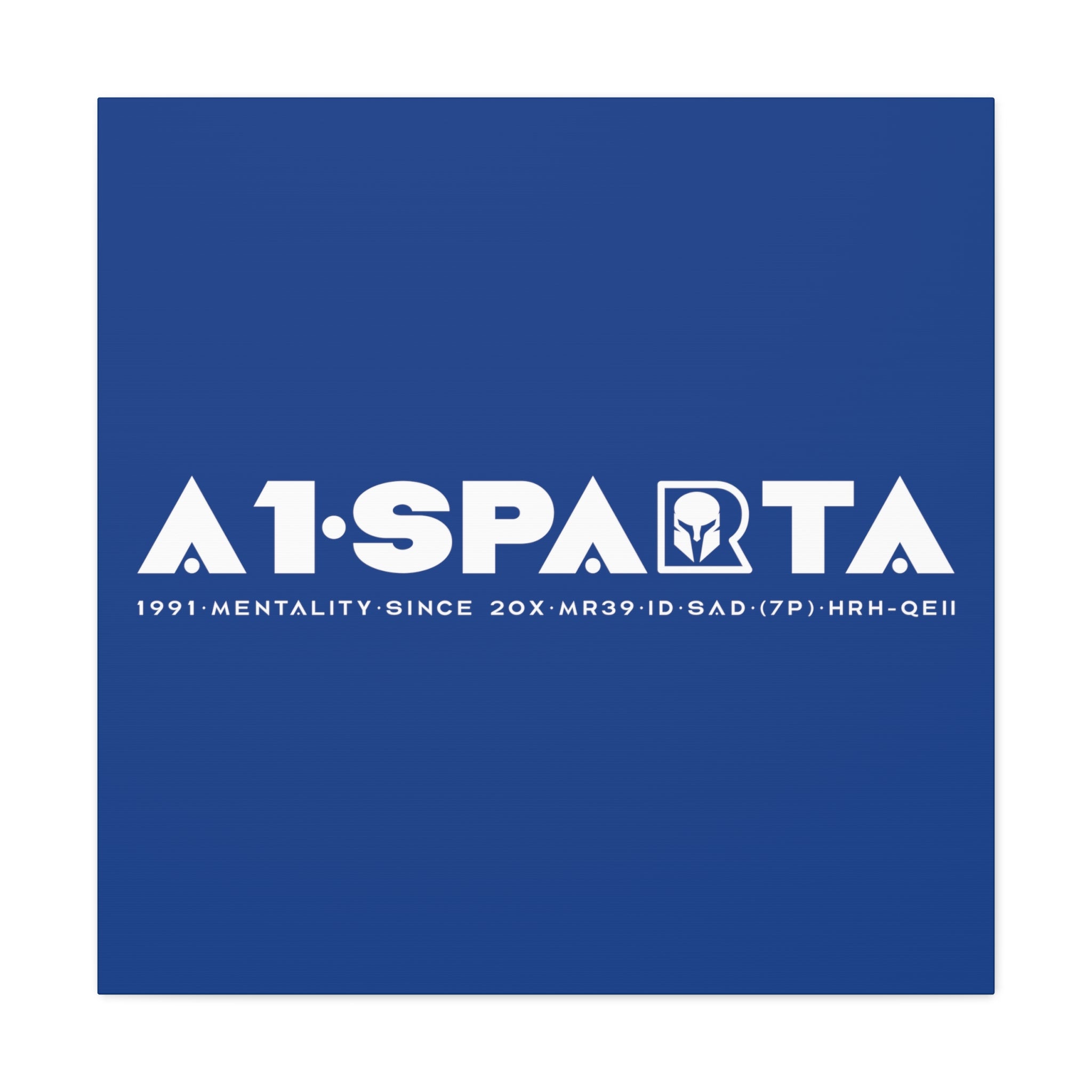 Canvas Gallery Wraps (A1•SPARTA RANGE)