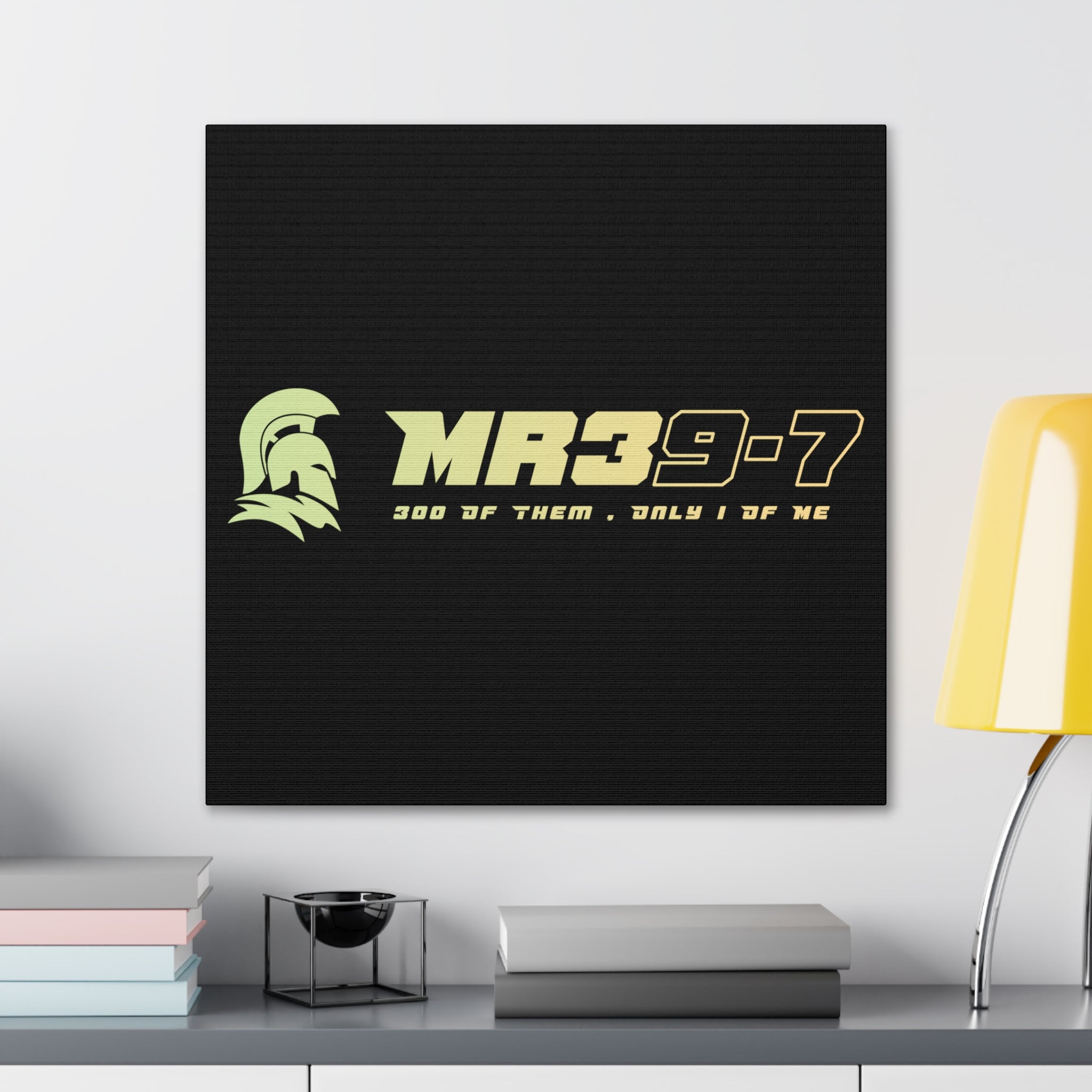 Canvas Gallery Wraps (A1•SPARTA RANGE)