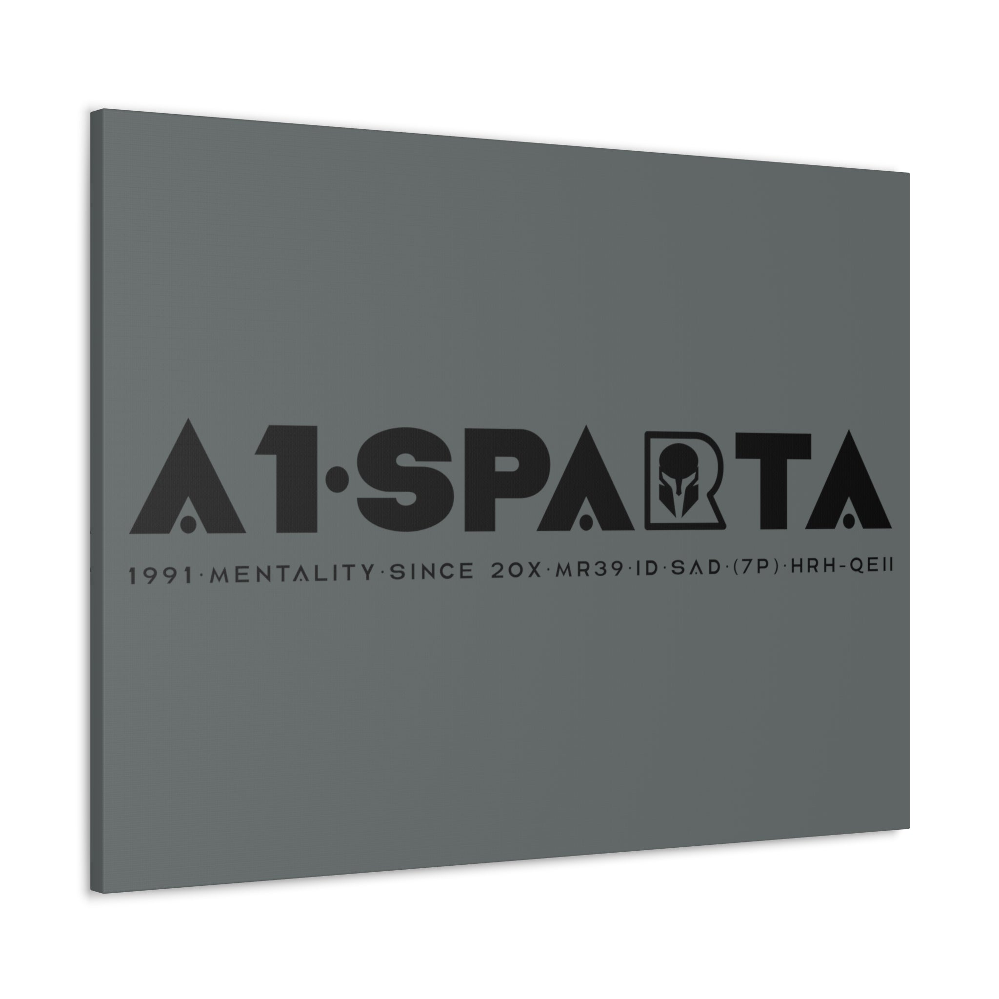 Canvas Gallery Wraps (A1•SPARTA RANGE)