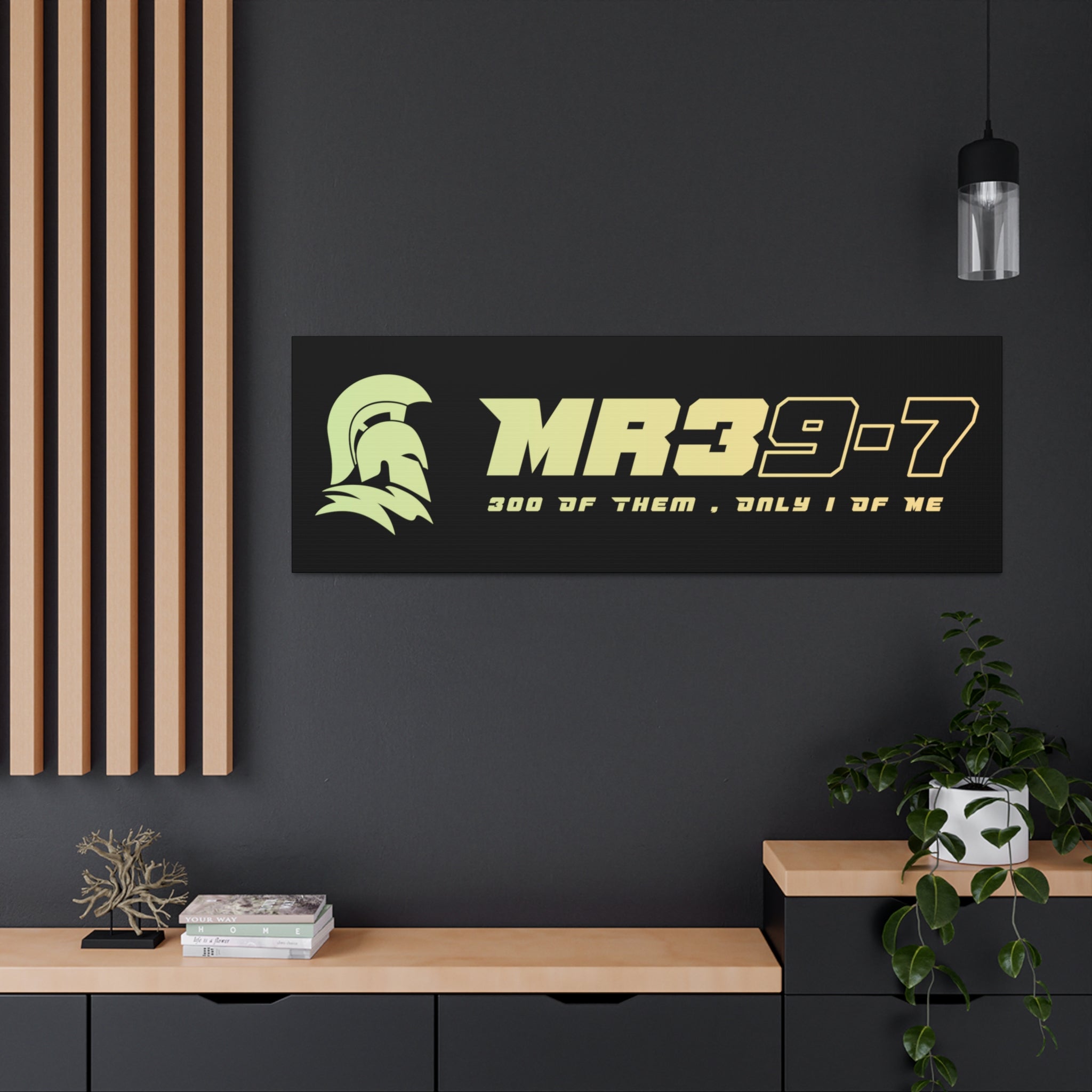 Canvas Gallery Wraps (A1•SPARTA RANGE)