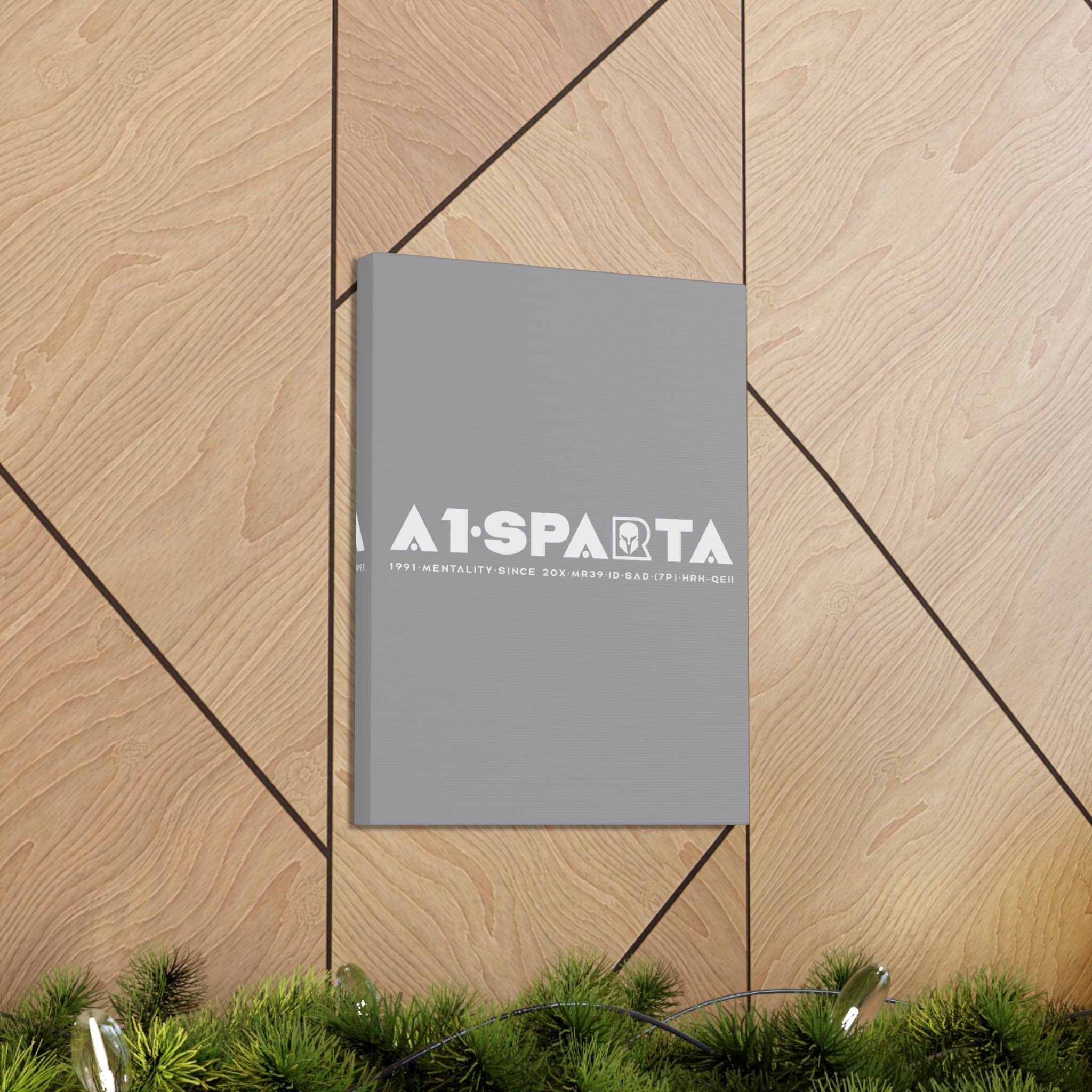 Canvas Gallery Wraps (A1•SPARTA RANGE)
