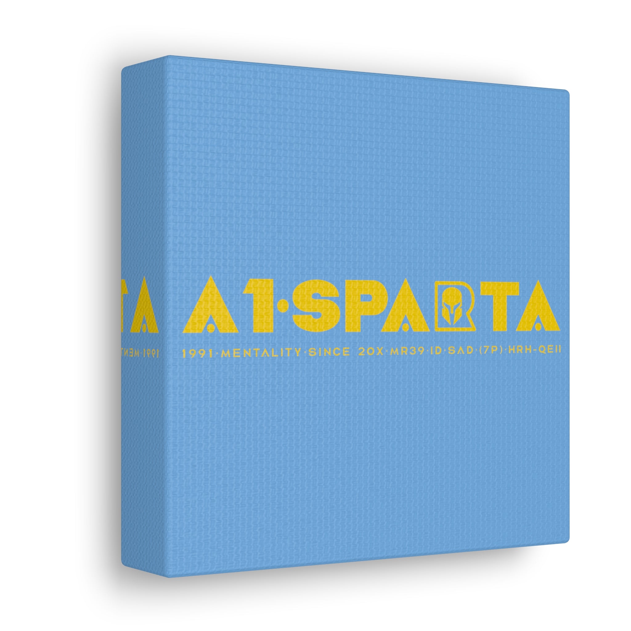 Canvas Gallery Wraps (A1•SPARTA RANGE)