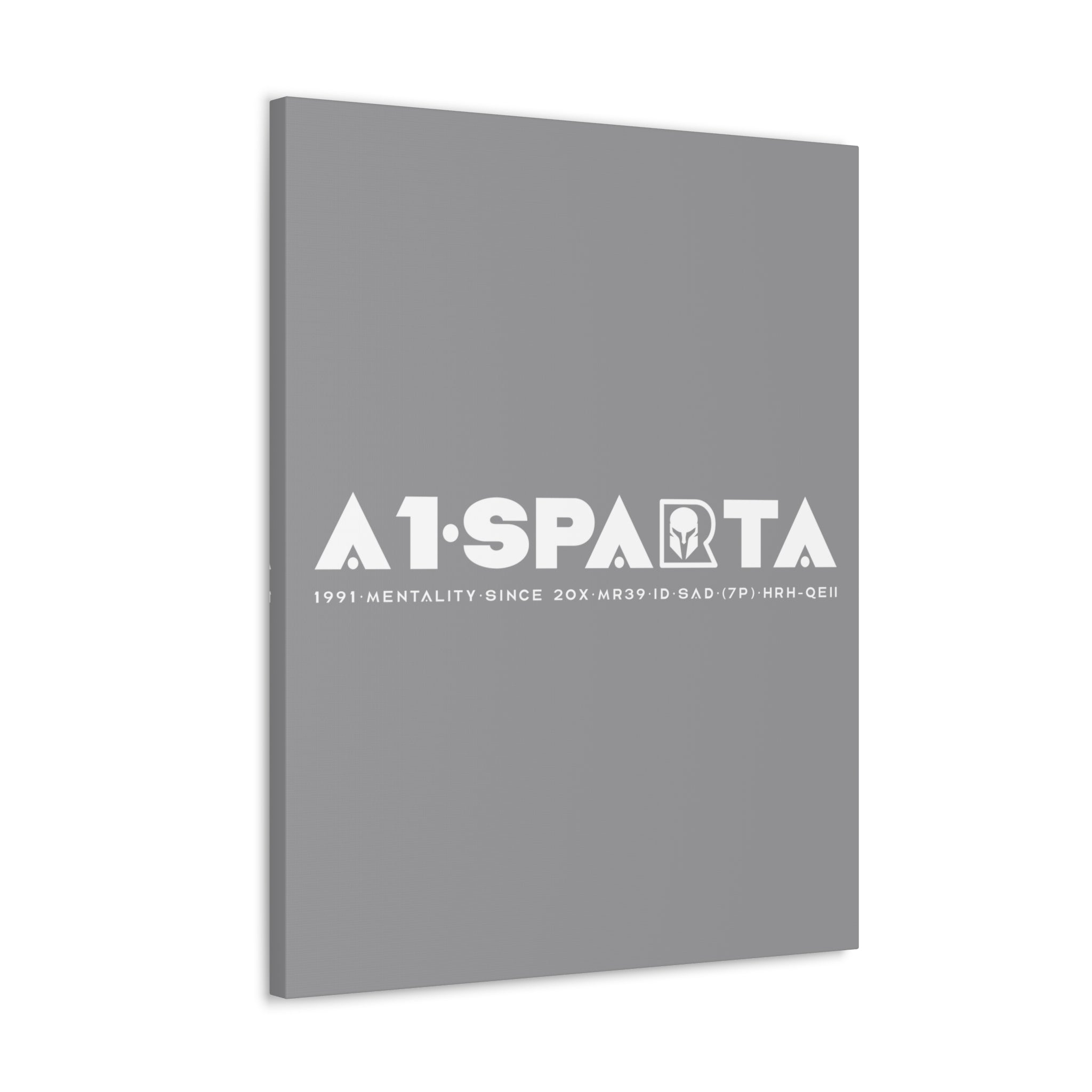 Canvas Gallery Wraps (A1•SPARTA RANGE)