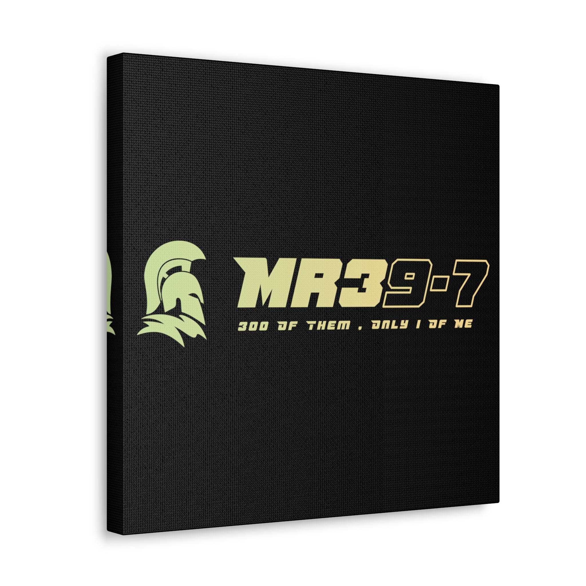 Canvas Gallery Wraps (A1•SPARTA RANGE)