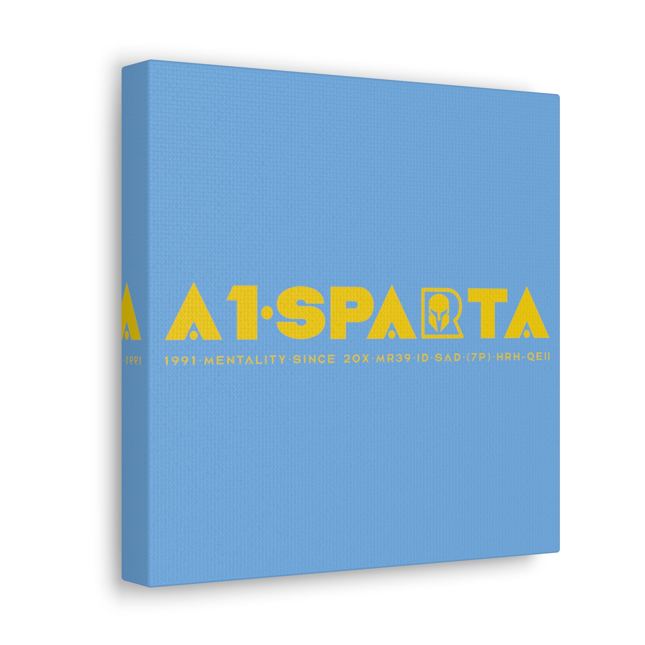 Canvas Gallery Wraps (A1•SPARTA RANGE)