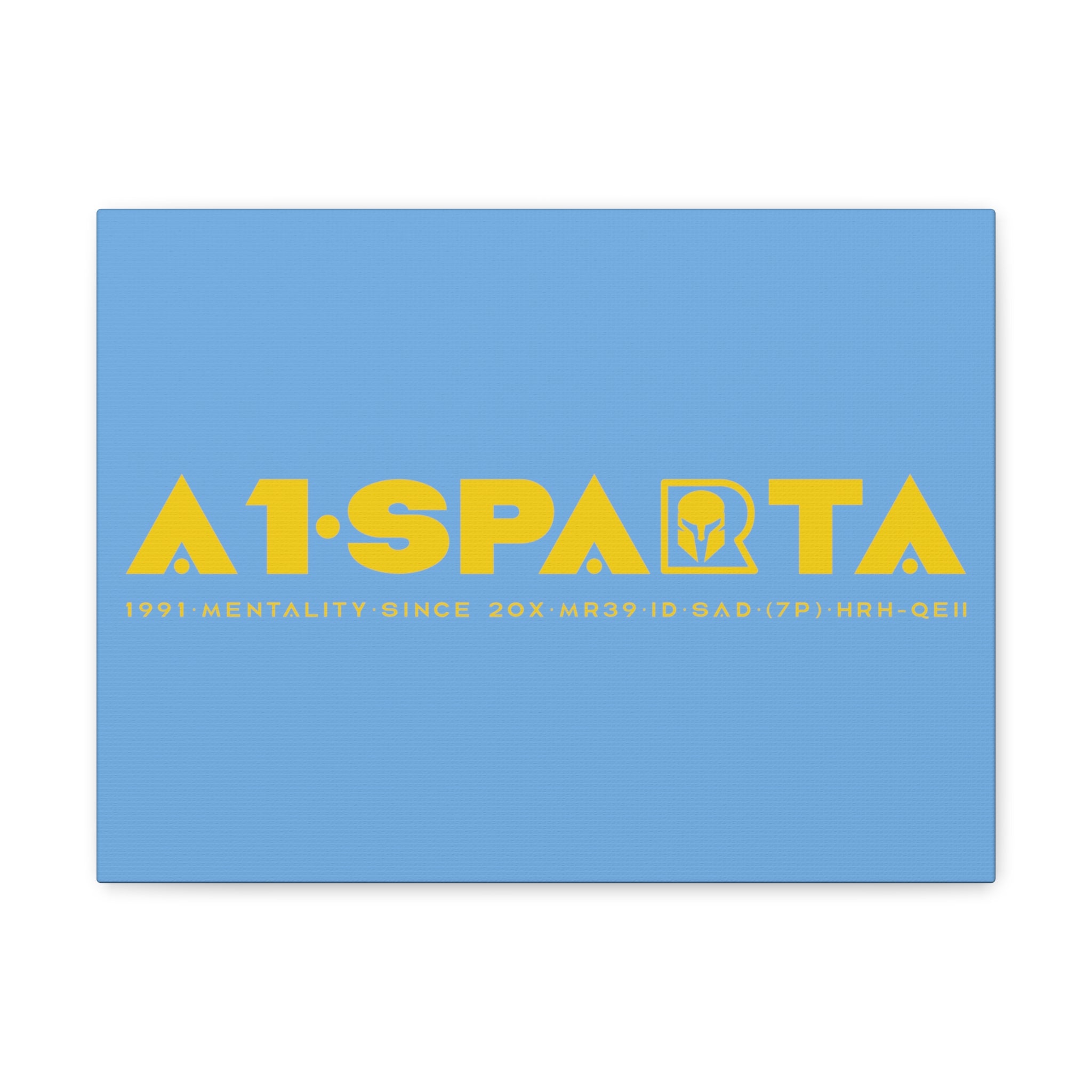 Canvas Gallery Wraps (A1•SPARTA RANGE)