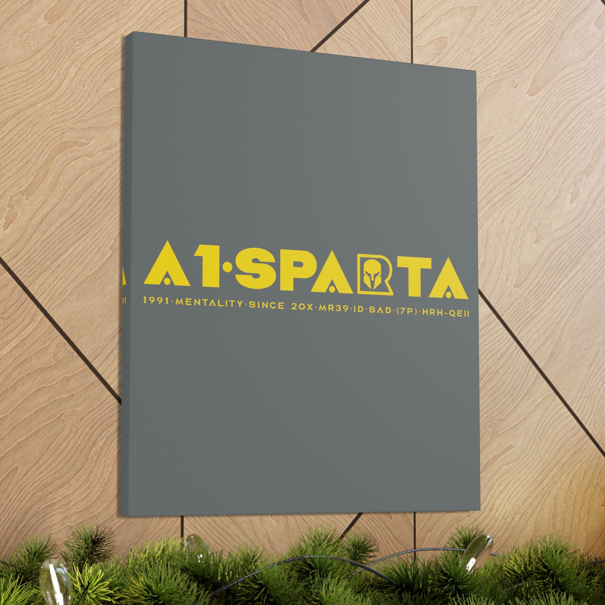 Canvas Gallery Wraps (A1•SPARTA RANGE)