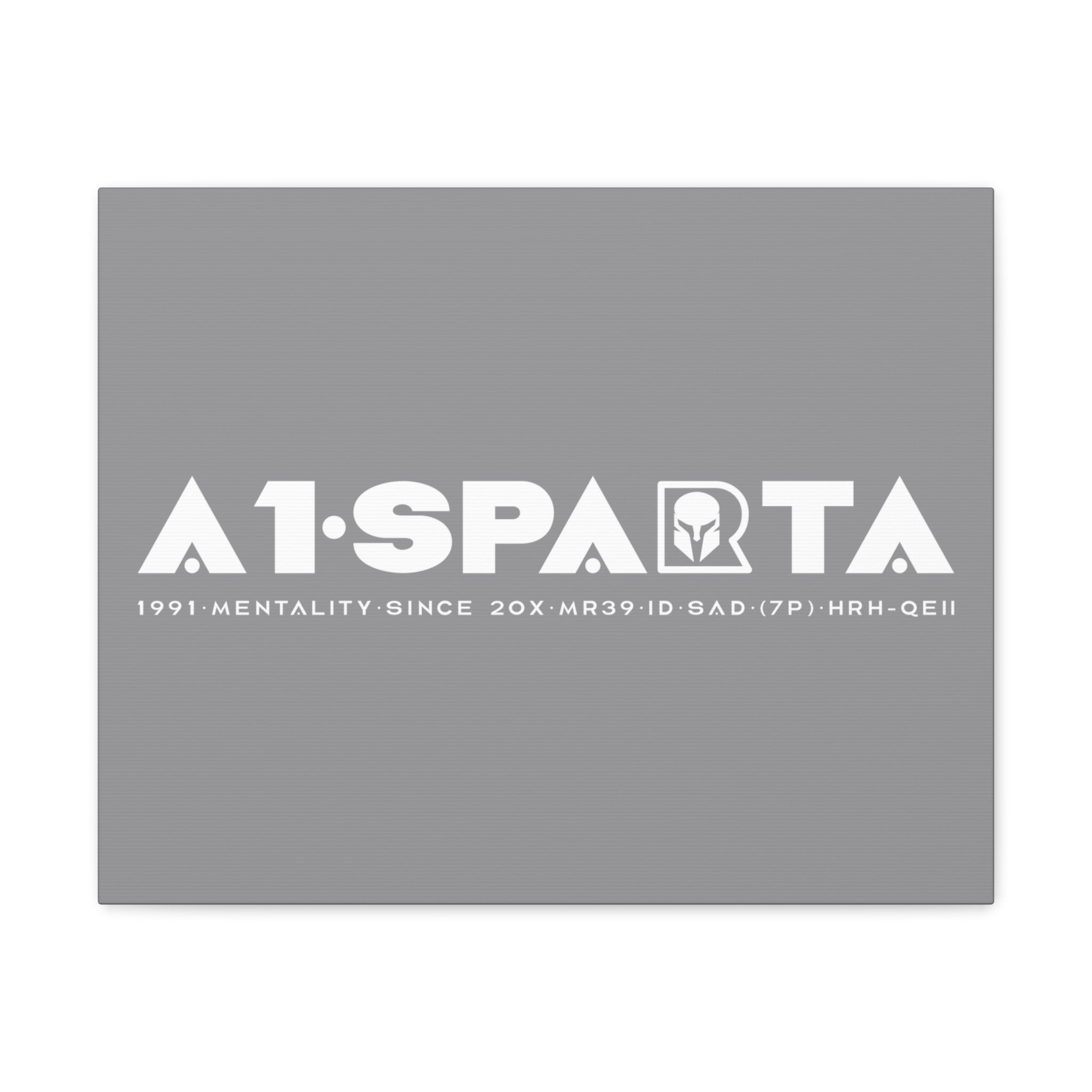 Canvas Gallery Wraps (A1•SPARTA RANGE)