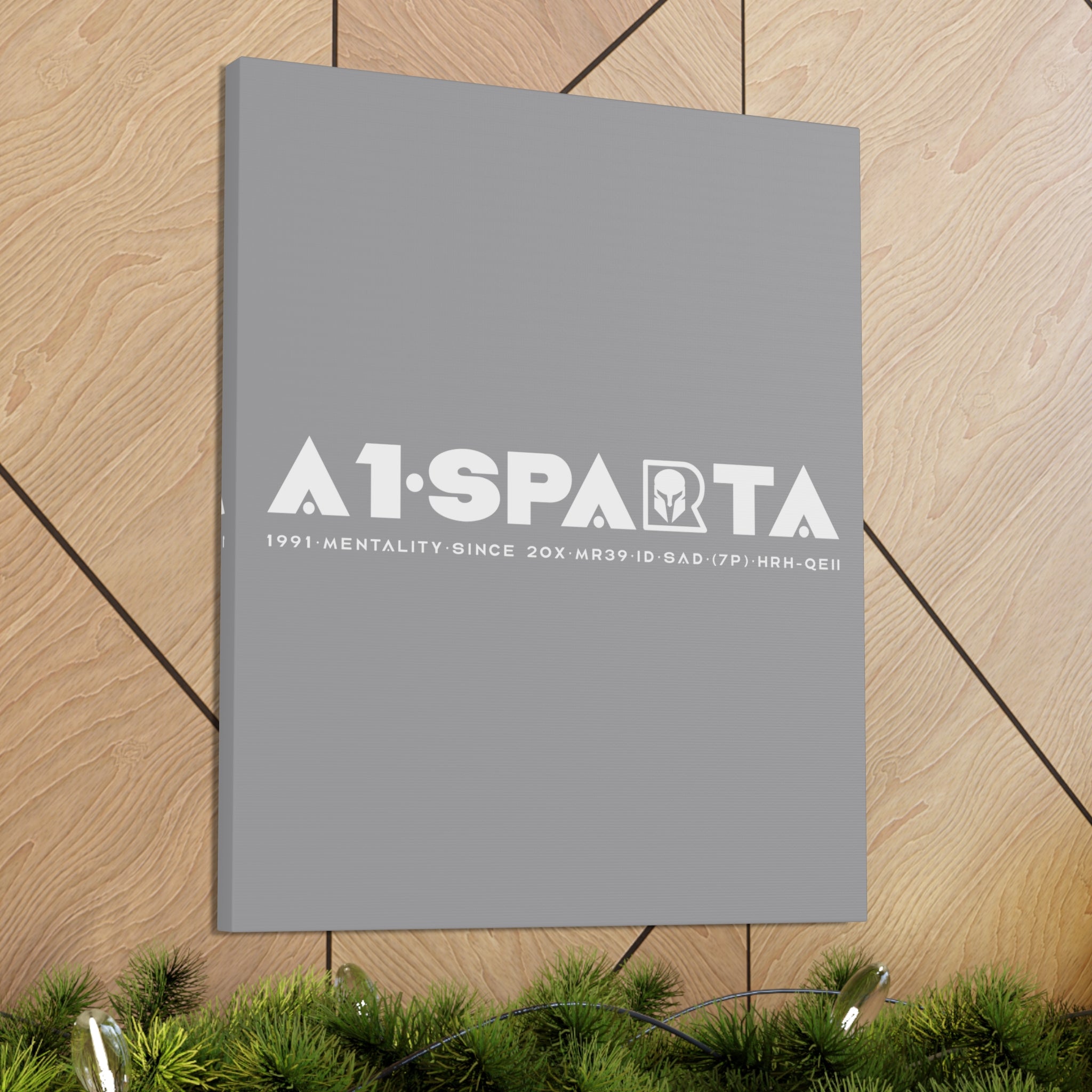 Canvas Gallery Wraps (A1•SPARTA RANGE)