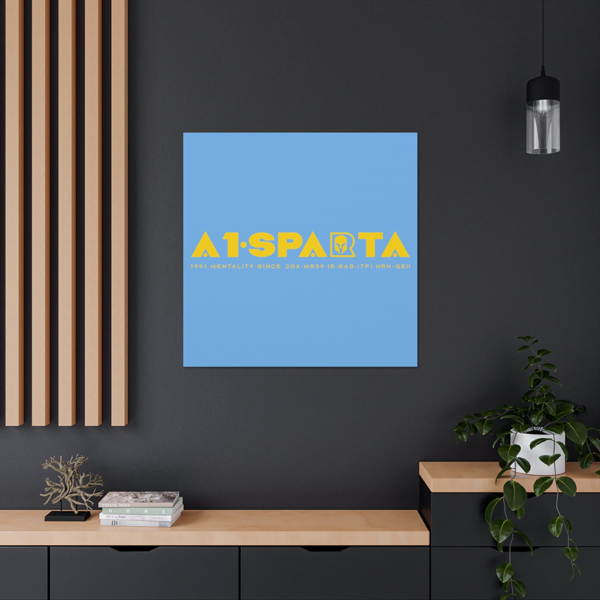 Canvas Gallery Wraps (A1•SPARTA RANGE)
