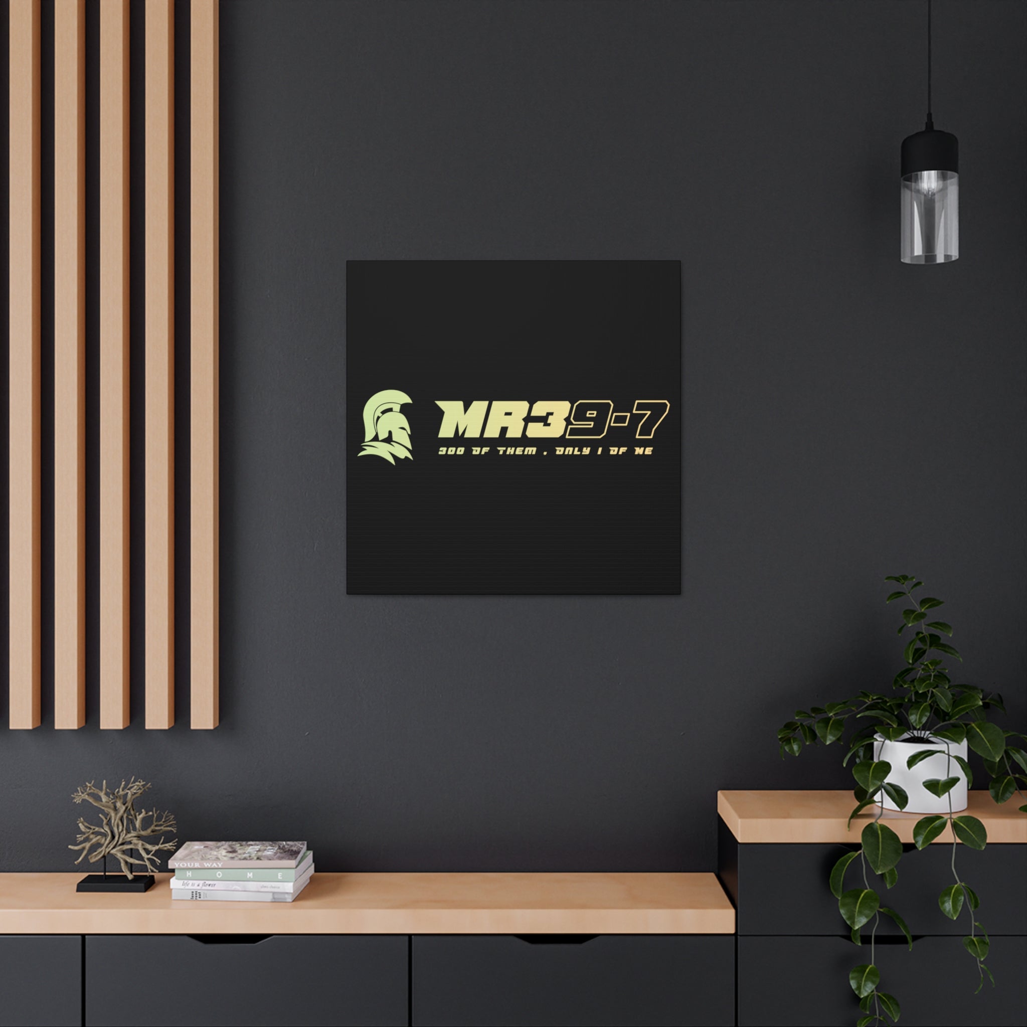 Canvas Gallery Wraps (A1•SPARTA RANGE)