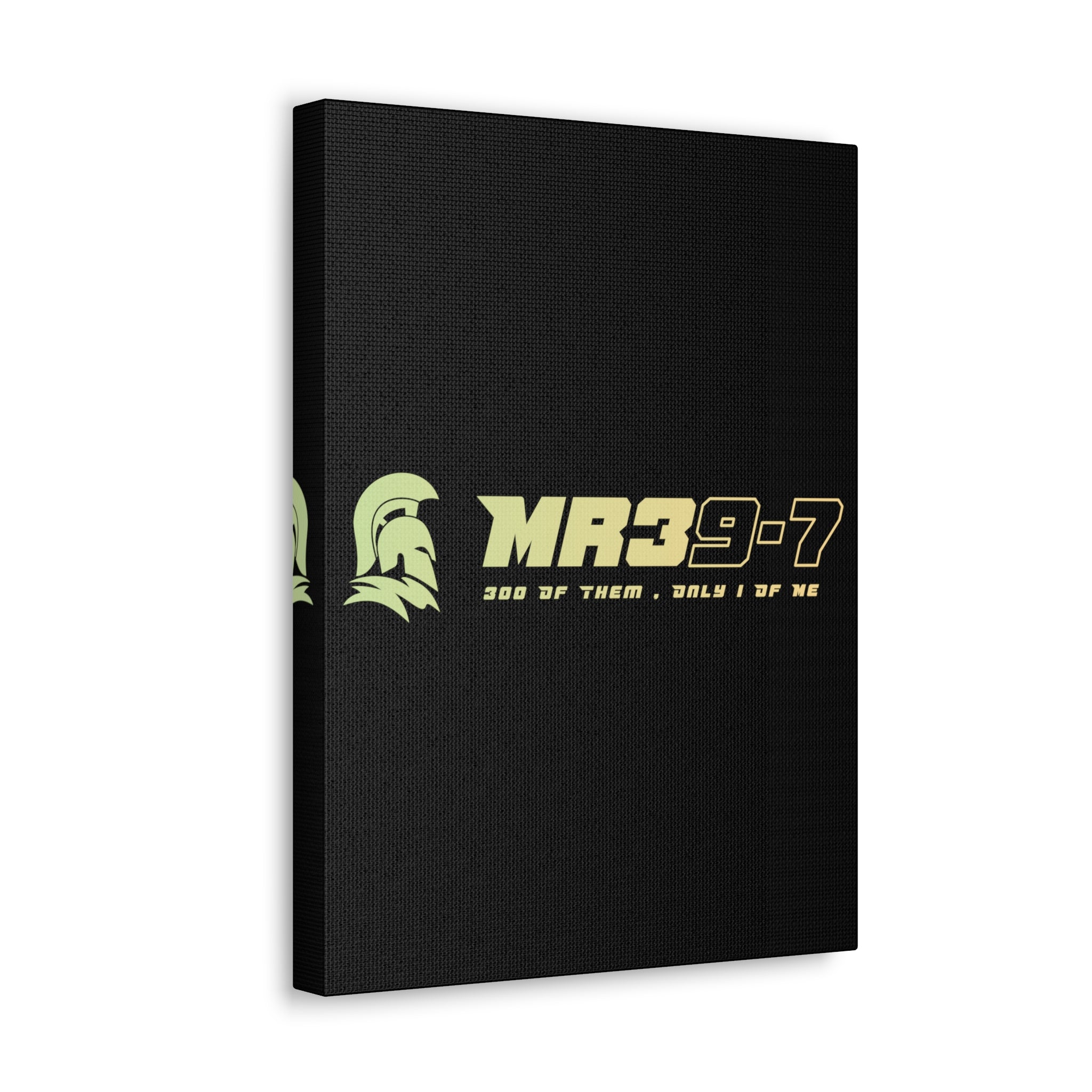 Canvas Gallery Wraps (A1•SPARTA RANGE)