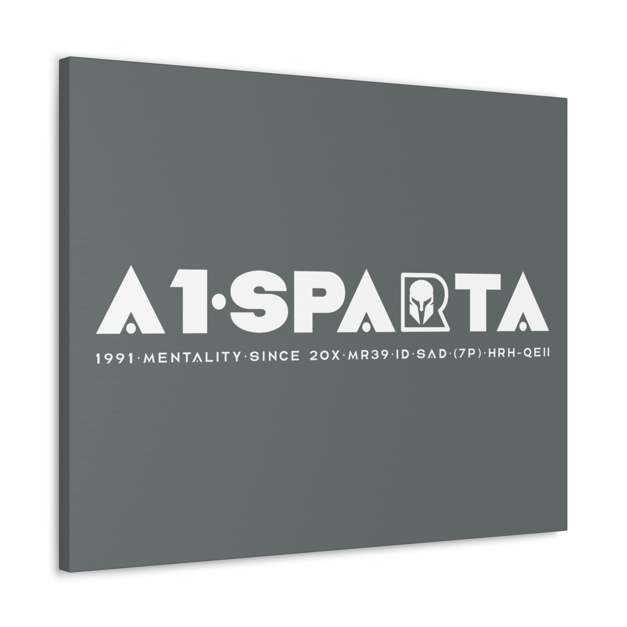 Canvas Gallery Wraps (A1•SPARTA RANGE)