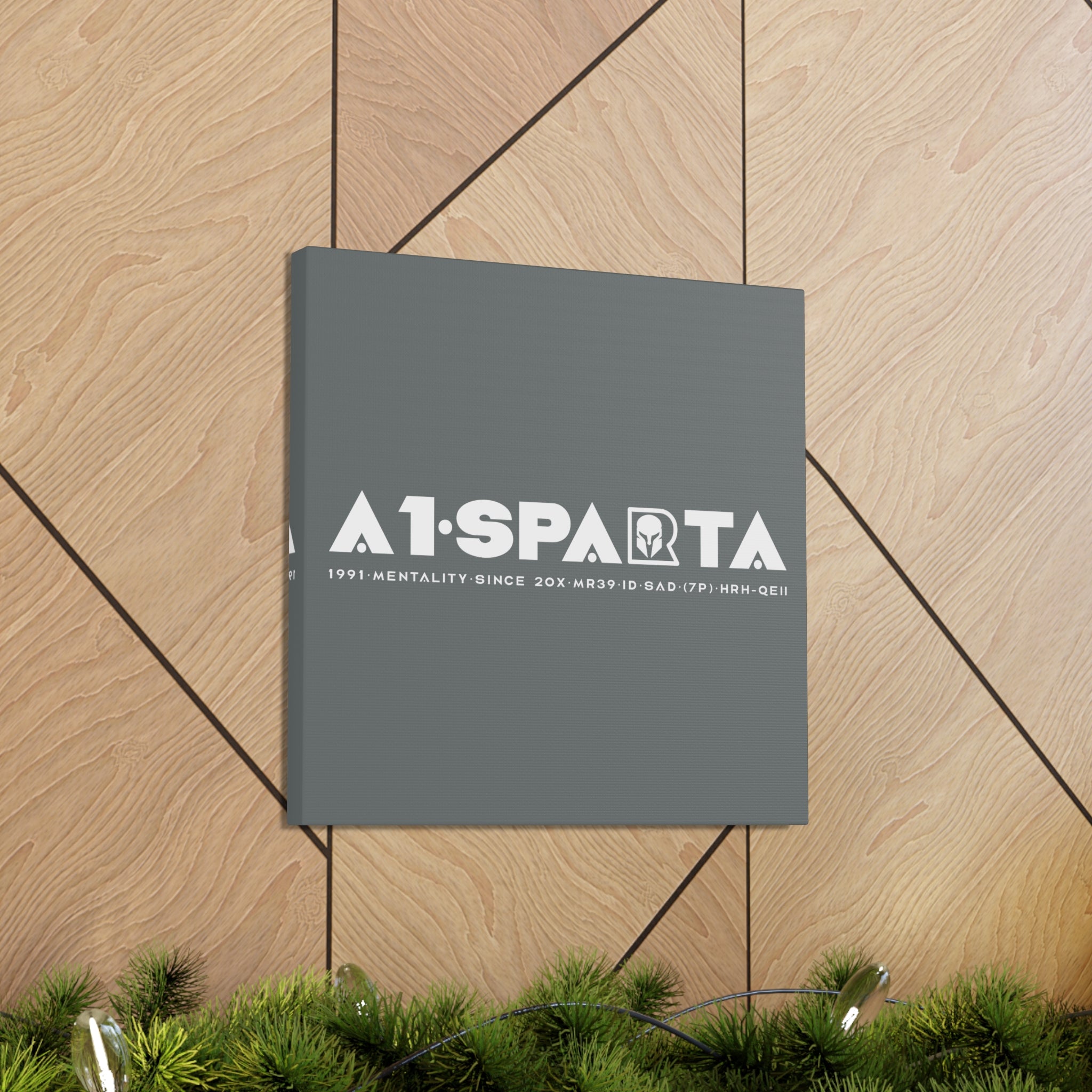 Canvas Gallery Wraps (A1•SPARTA RANGE)
