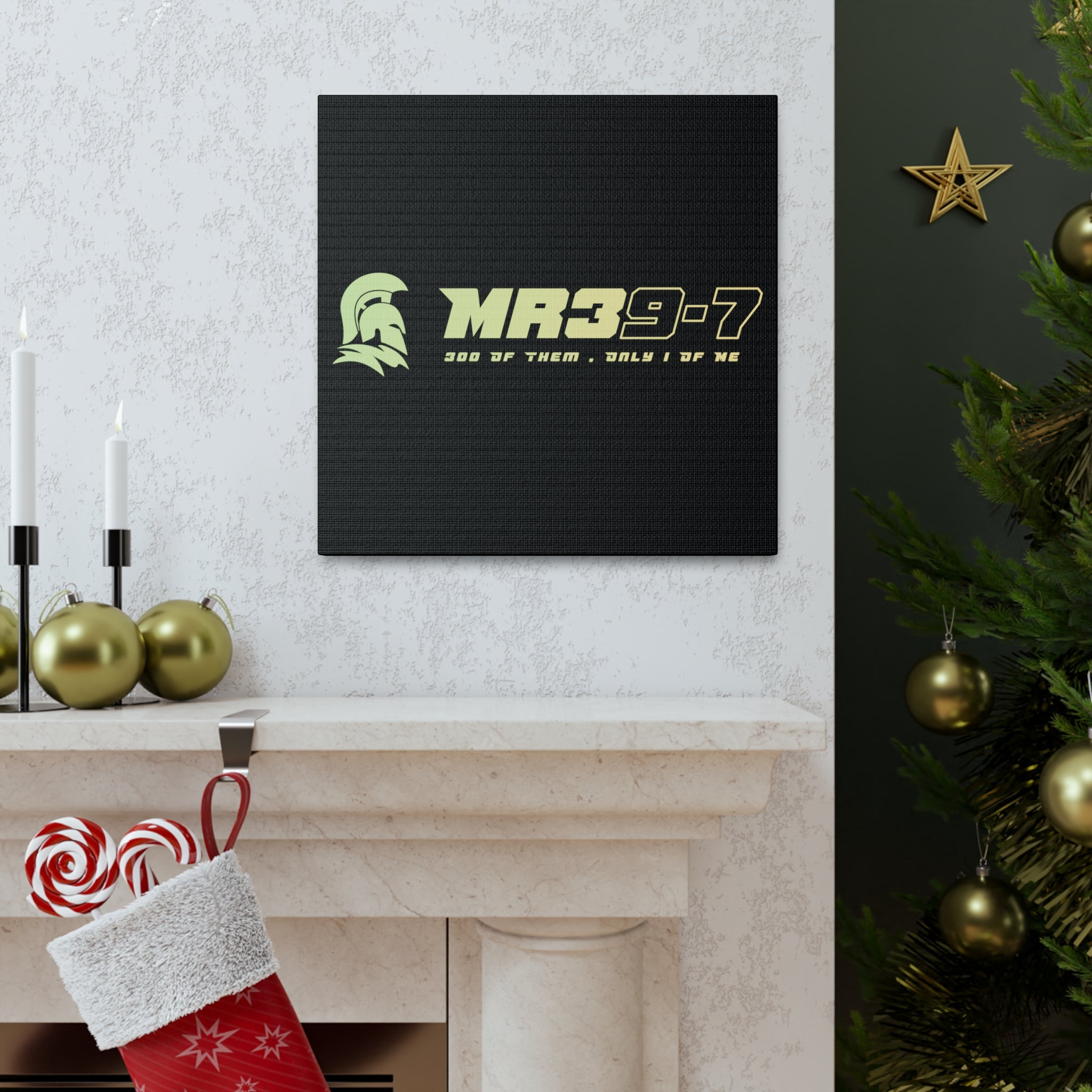 Canvas Gallery Wraps (A1•SPARTA RANGE)