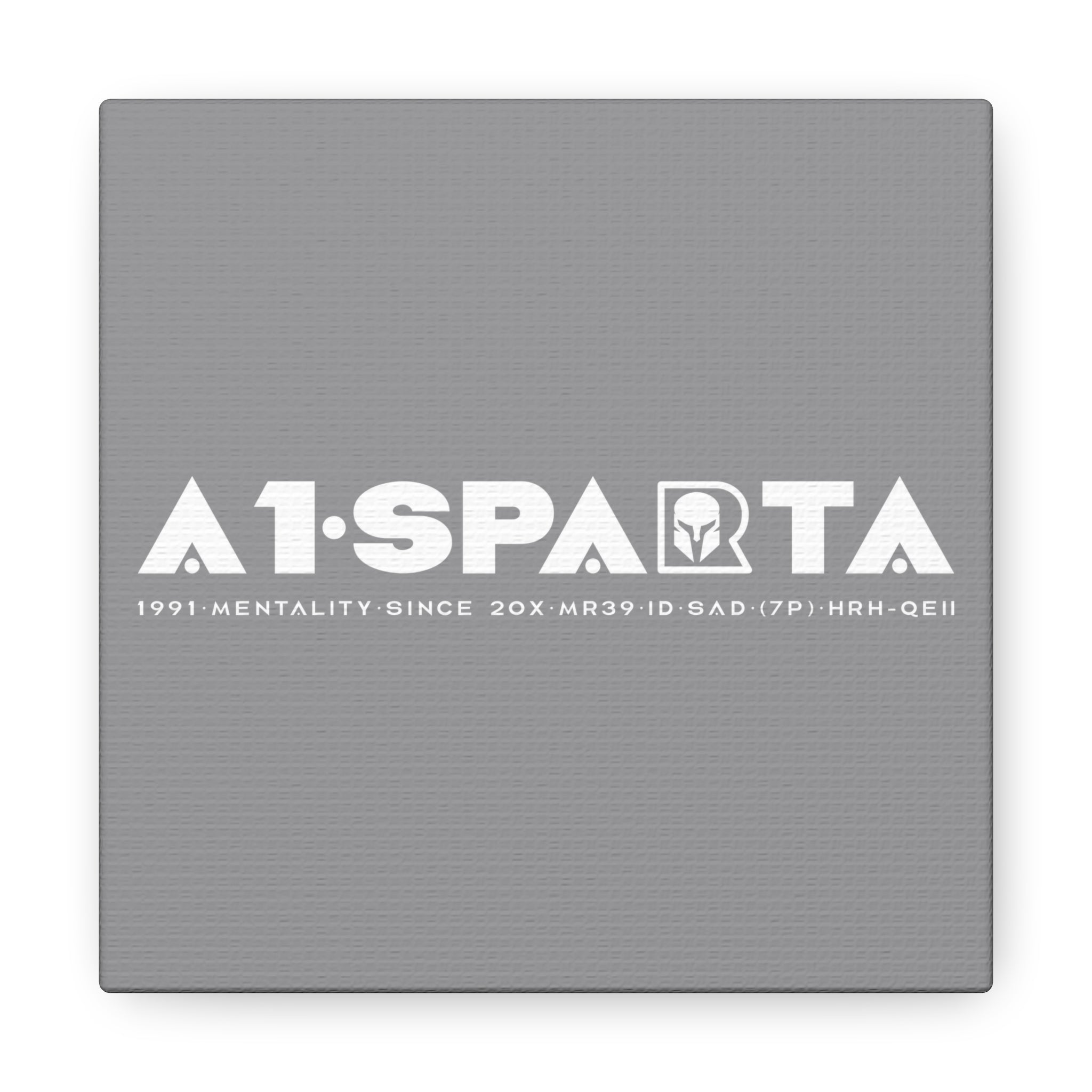 Canvas Gallery Wraps (A1•SPARTA RANGE)