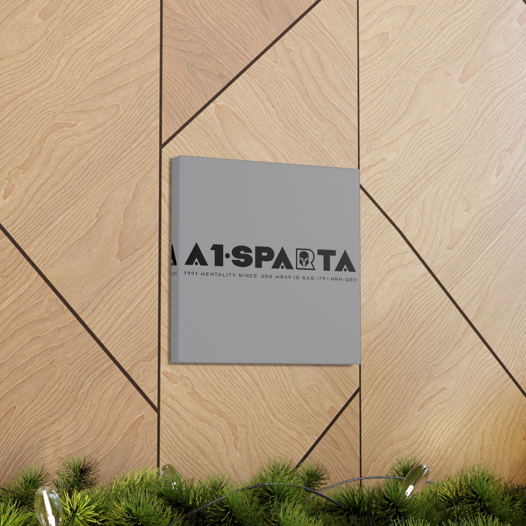 Canvas Gallery Wraps (A1•SPARTA RANGE)