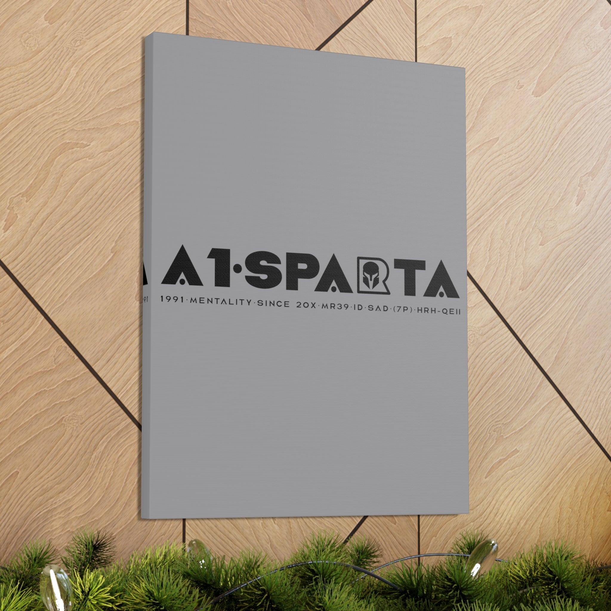 Canvas Gallery Wraps (A1•SPARTA RANGE)
