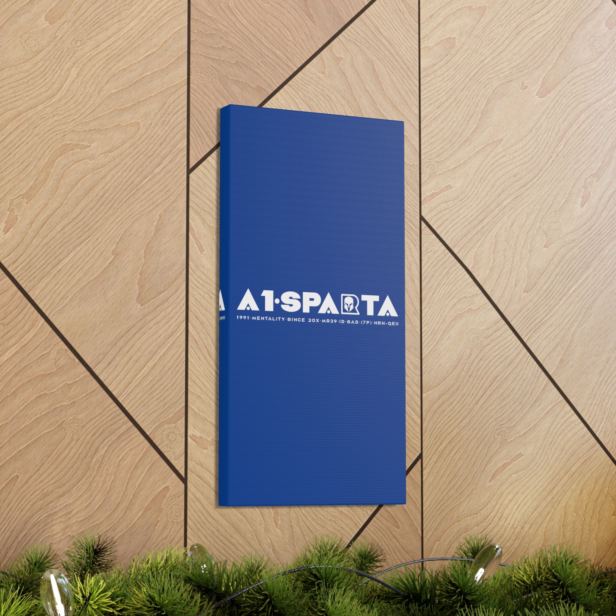 Canvas Gallery Wraps (A1•SPARTA RANGE)