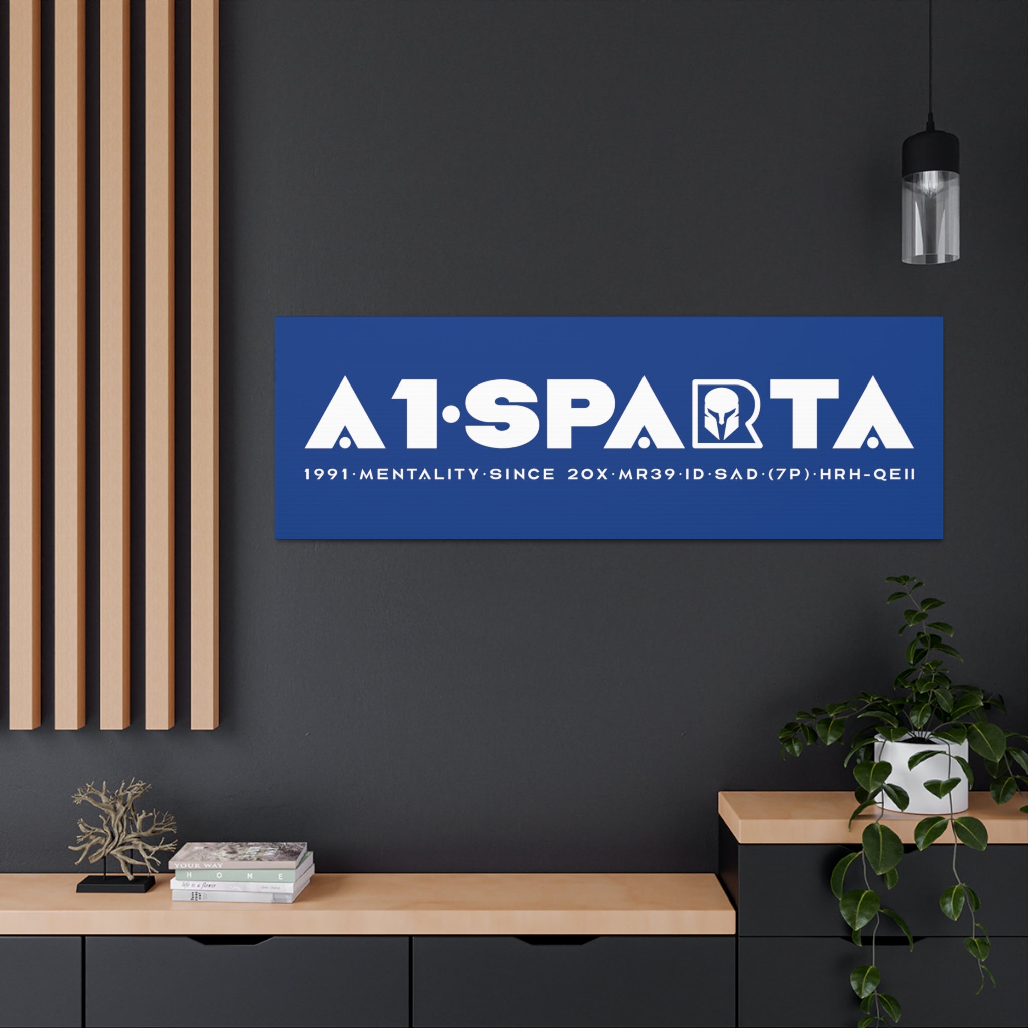 Canvas Gallery Wraps (A1•SPARTA RANGE)