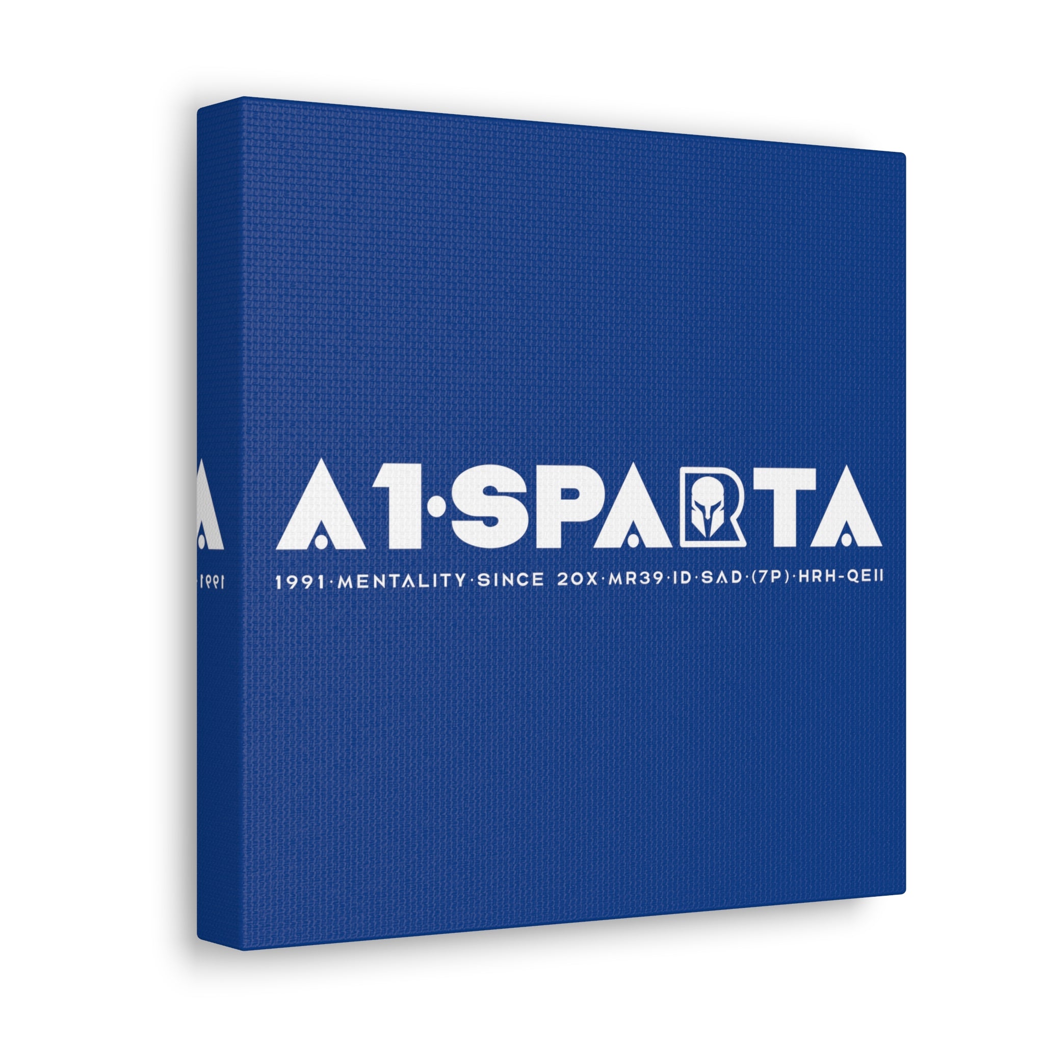 Canvas Gallery Wraps (A1•SPARTA RANGE)