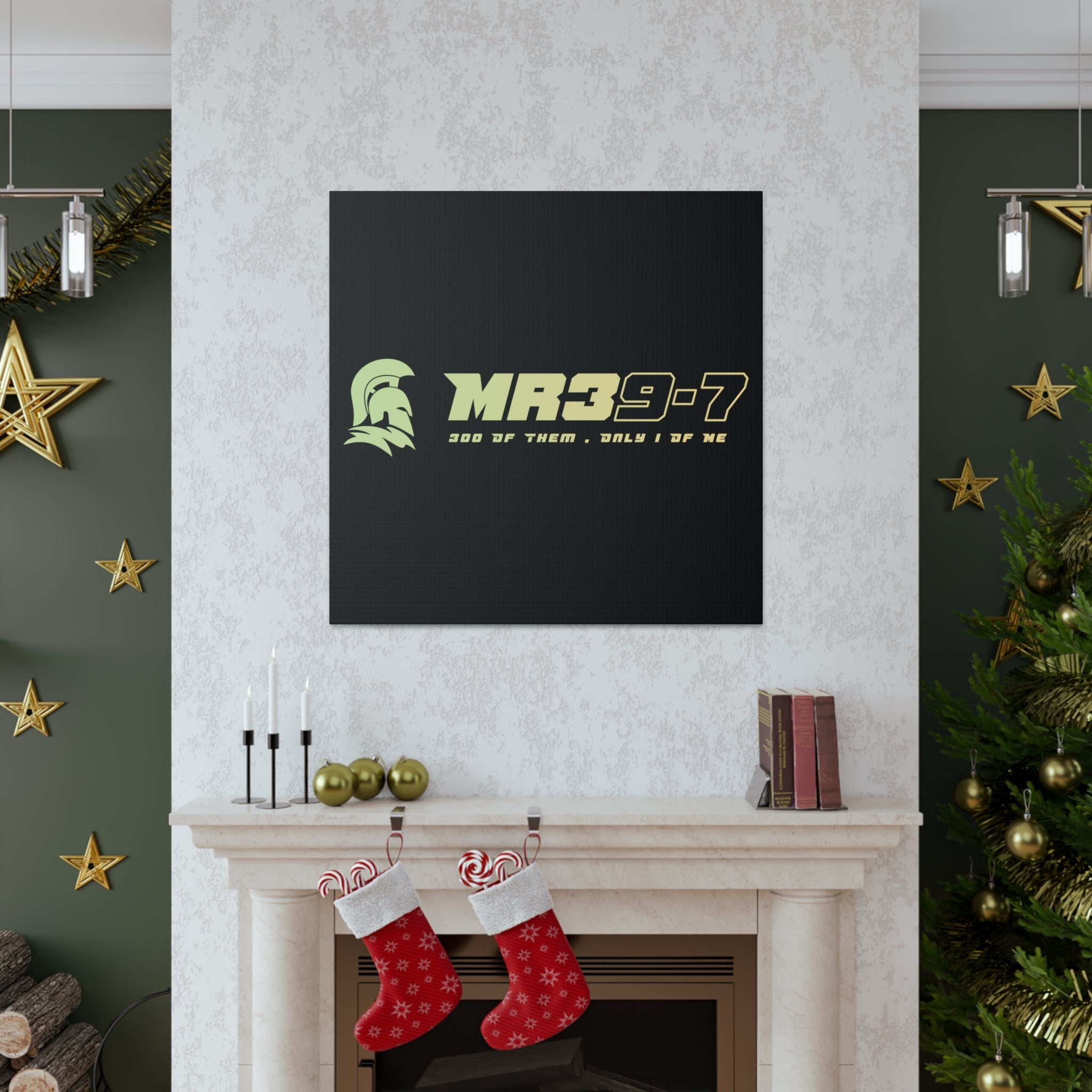 Canvas Gallery Wraps (A1•SPARTA RANGE)